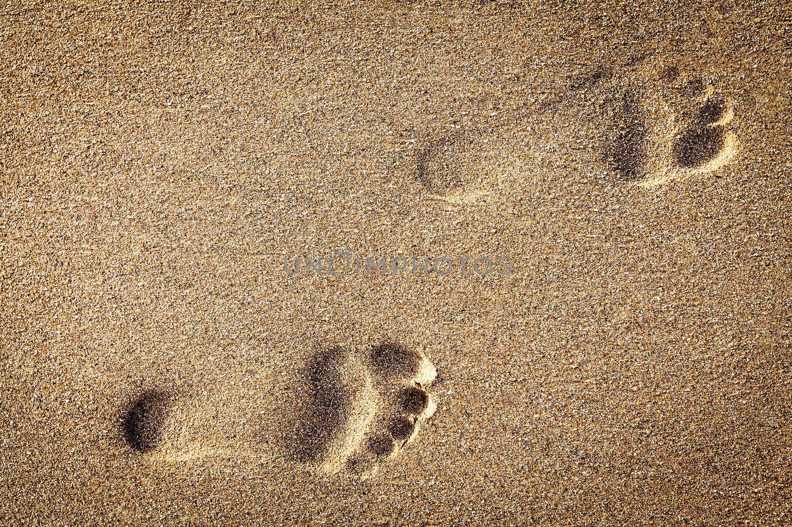 footsteps in sandy on the beach