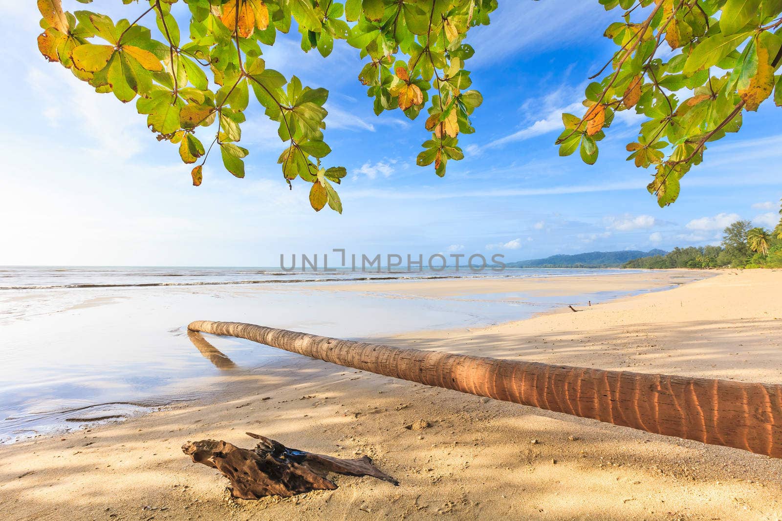 Bangsak beach in blue sky and palm trees at Phangnga, Thailand.