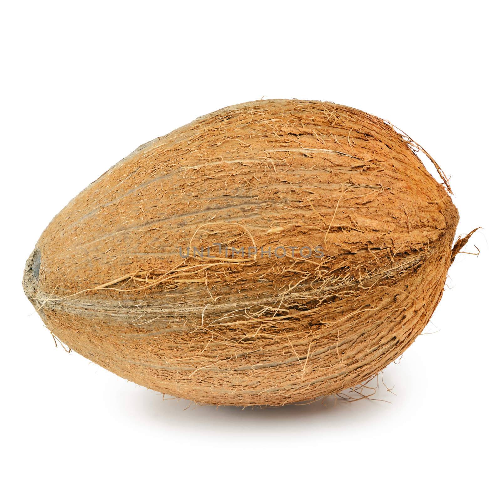 Single Hard-shelled Coconut Over The White Background