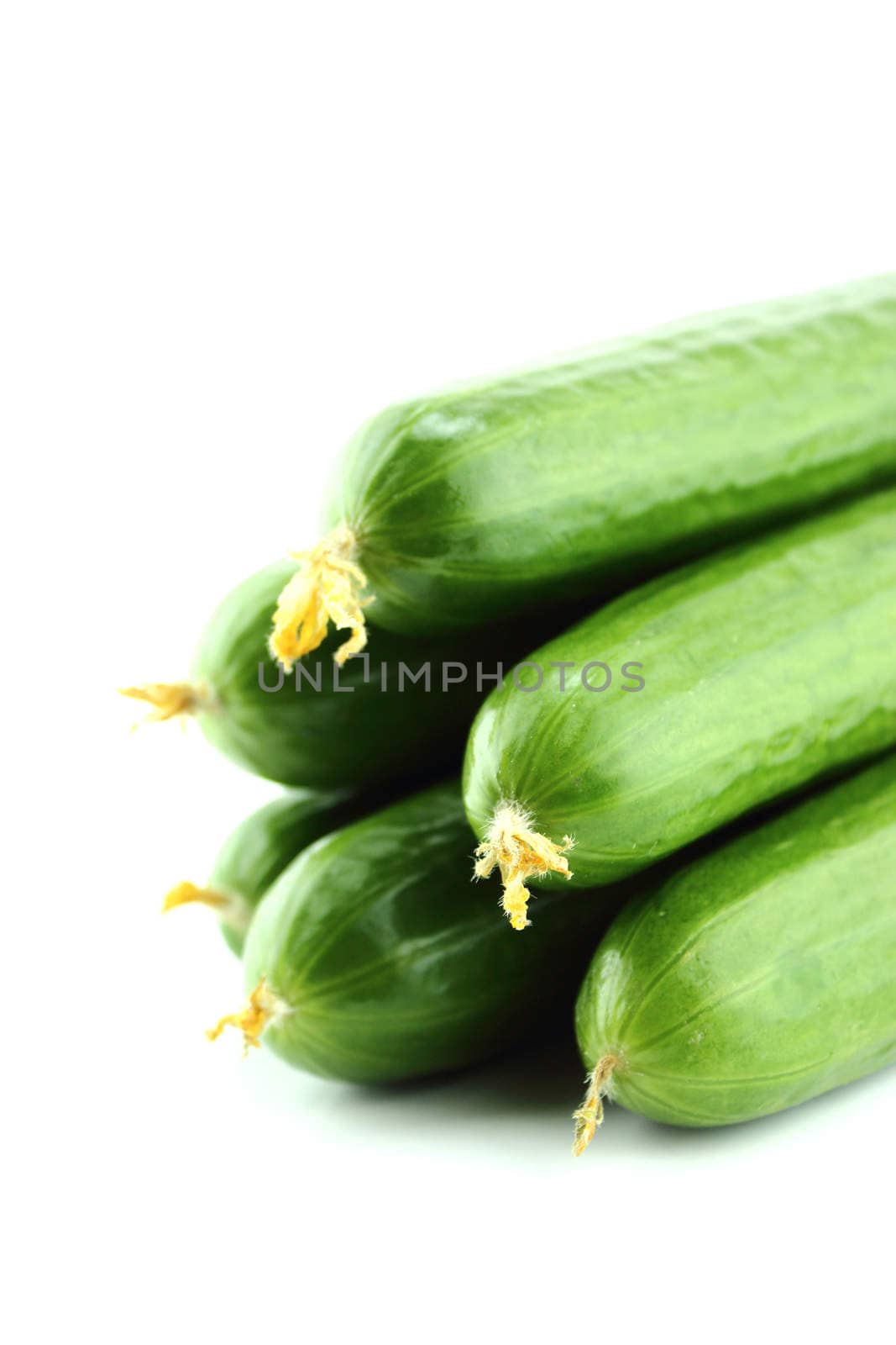 Fresh Cucumber on white background.
