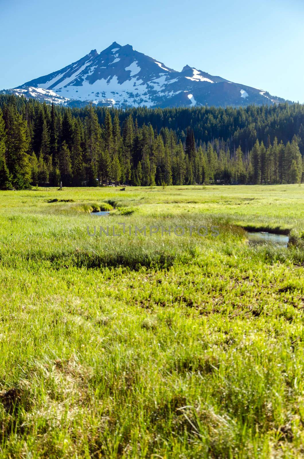 South Sister viewed from a lush green meadow in Central Oregon