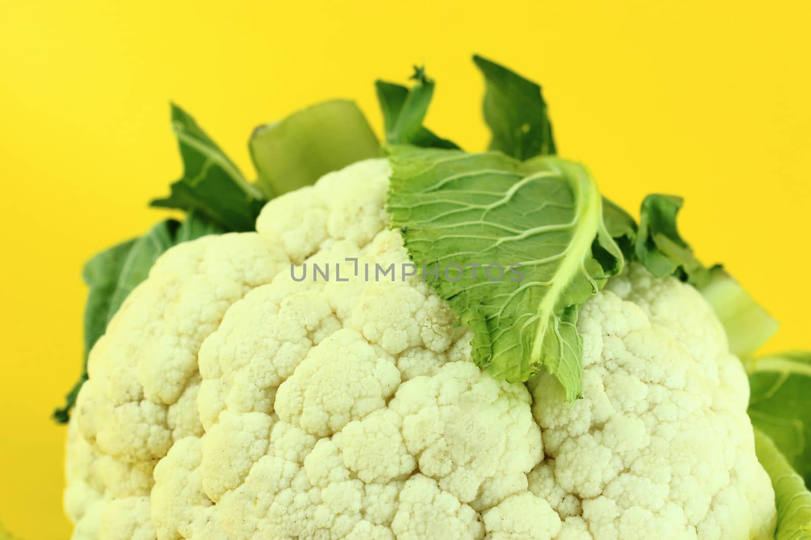 Fresh cauliflower isolated on yellow background .