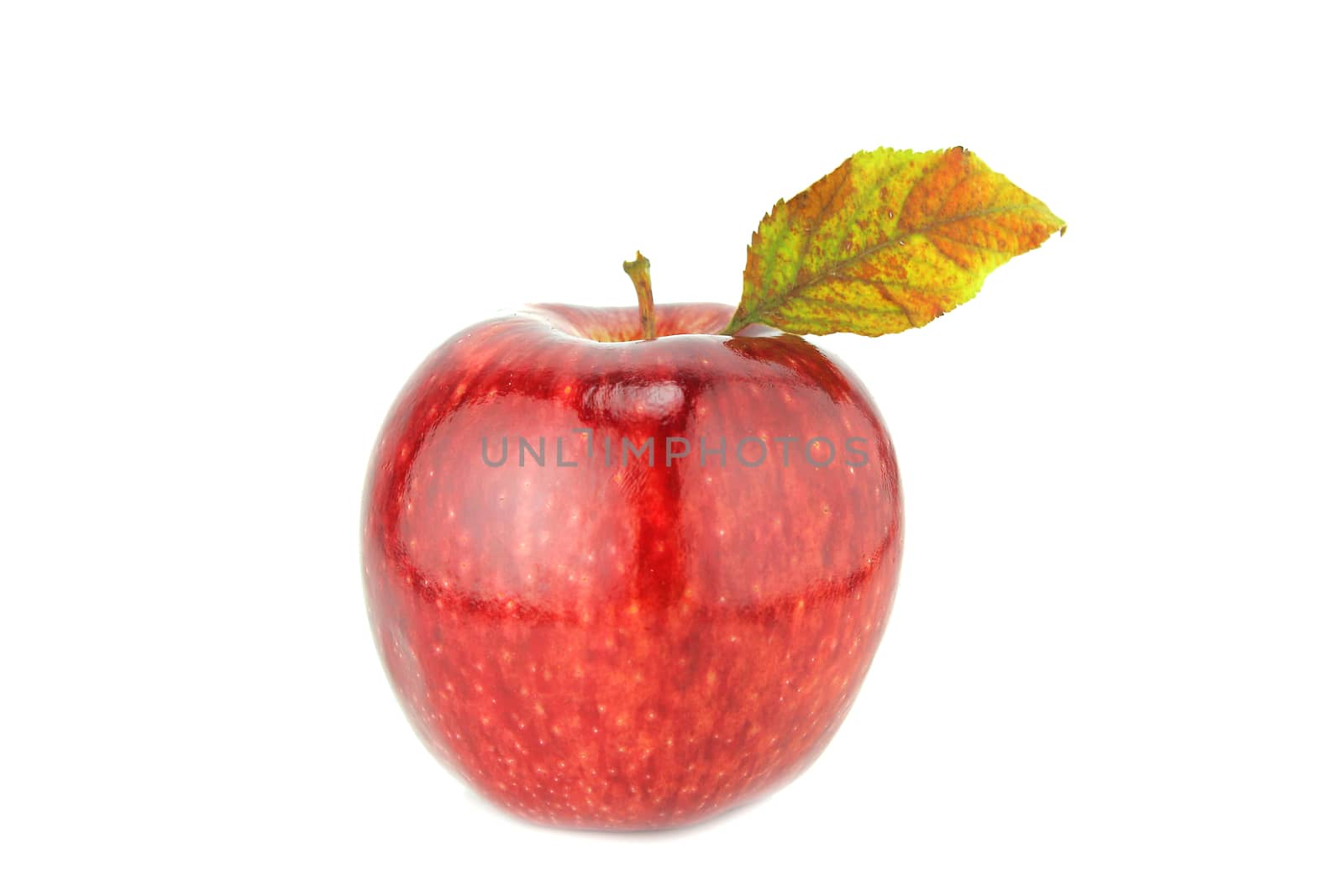 Fresh red apple on white background with a clipping path