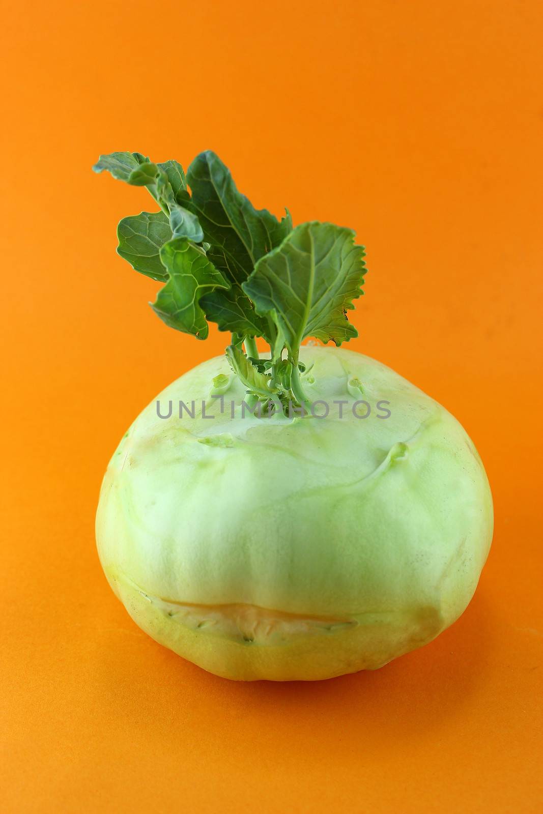 Cabbage kohlrabi on orange background