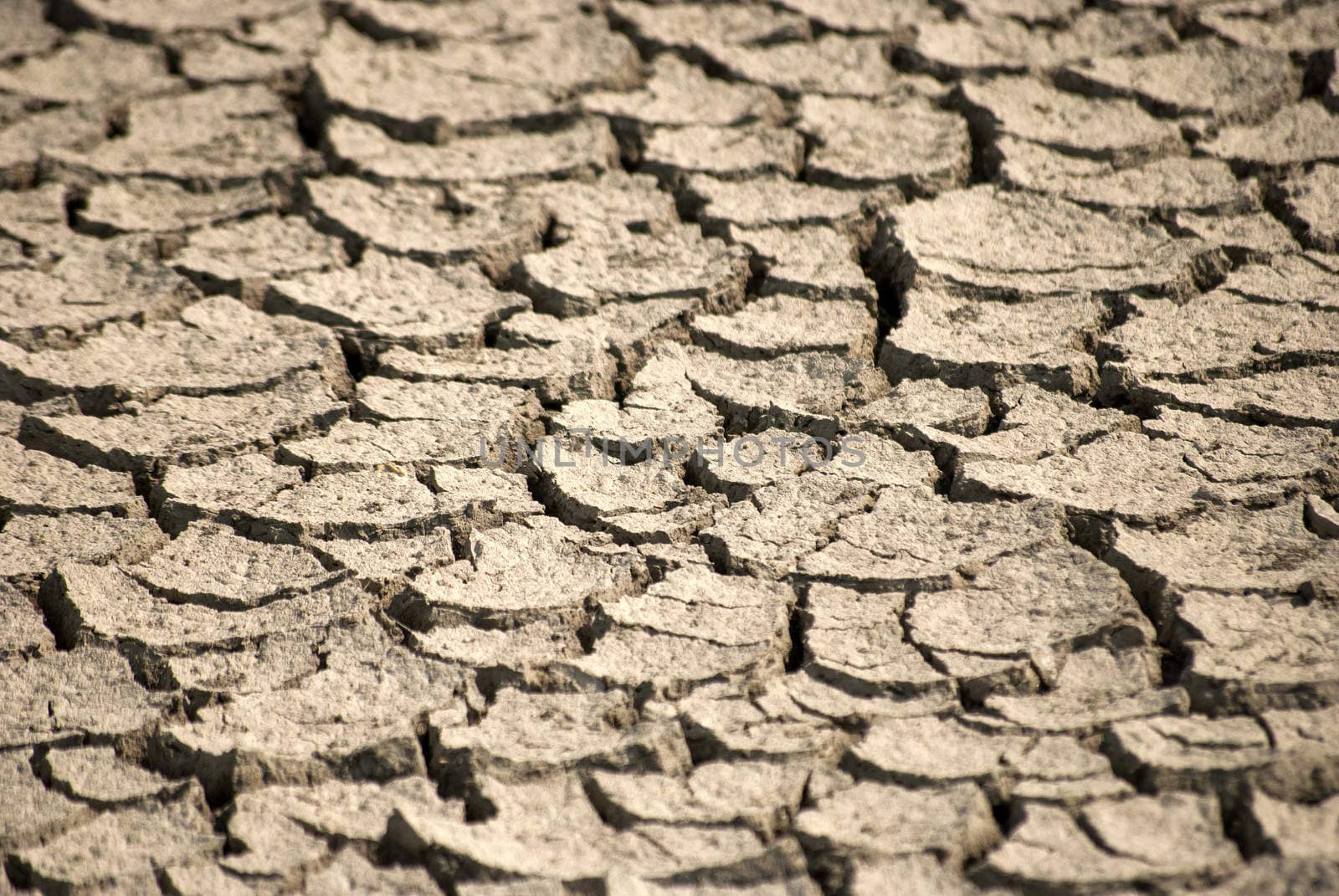 Cracked soil of dry marsh as background