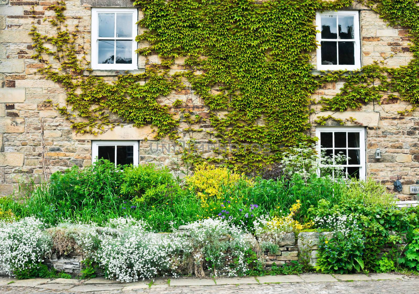 Vibrant summer plants at the front of a stone cottage in England