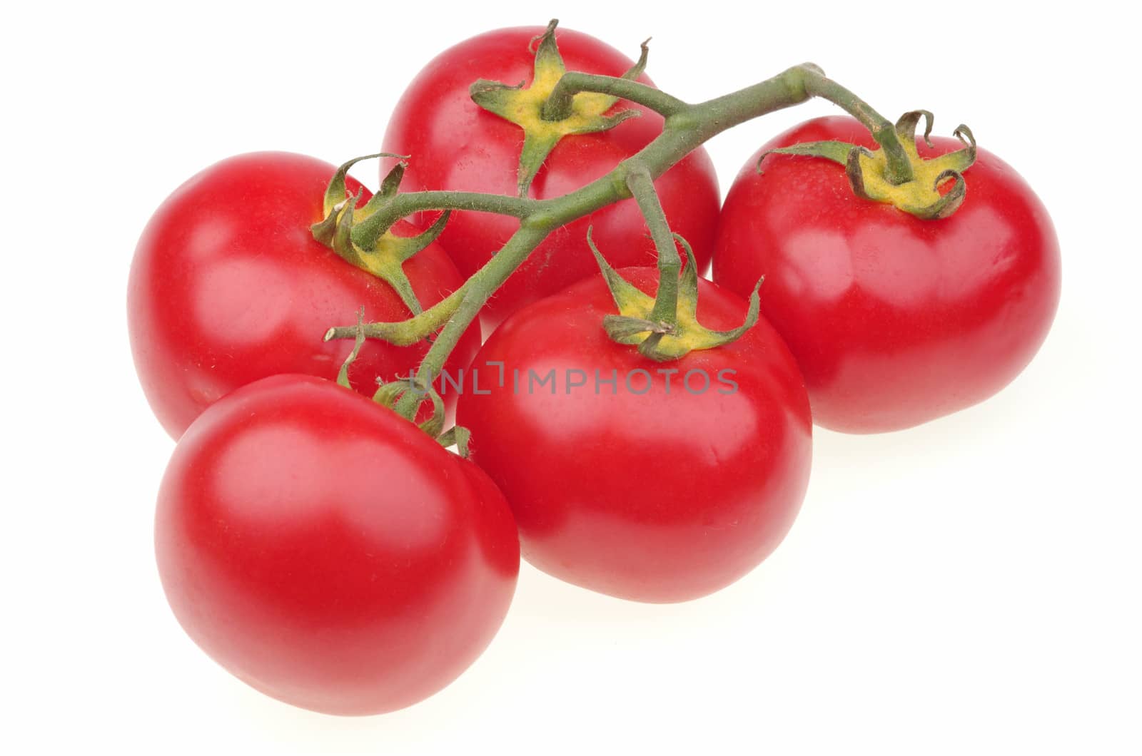 Ripe red tomato vine on a white background