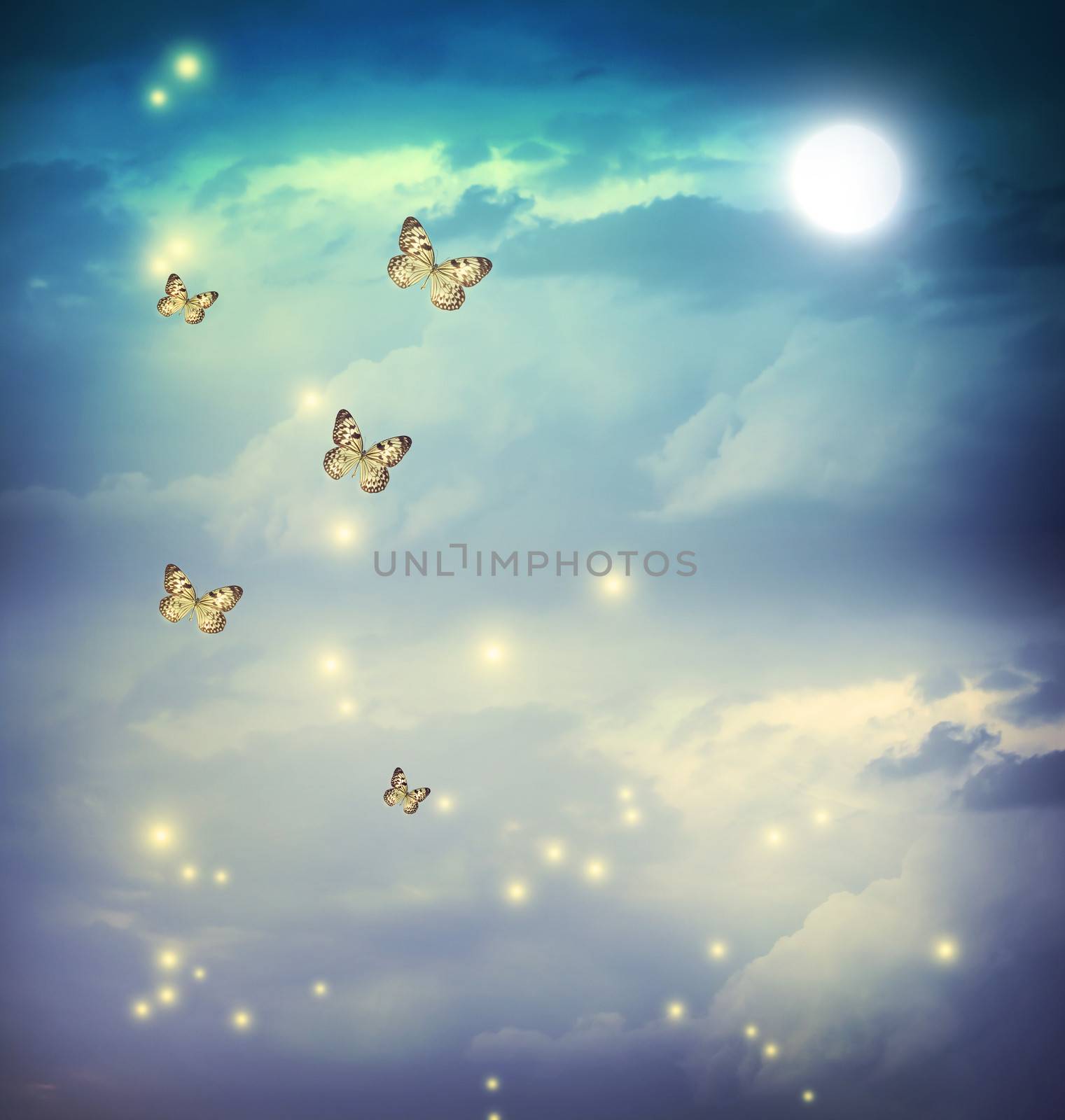 Butterflies in a fantasy night landscape with stars and moon
