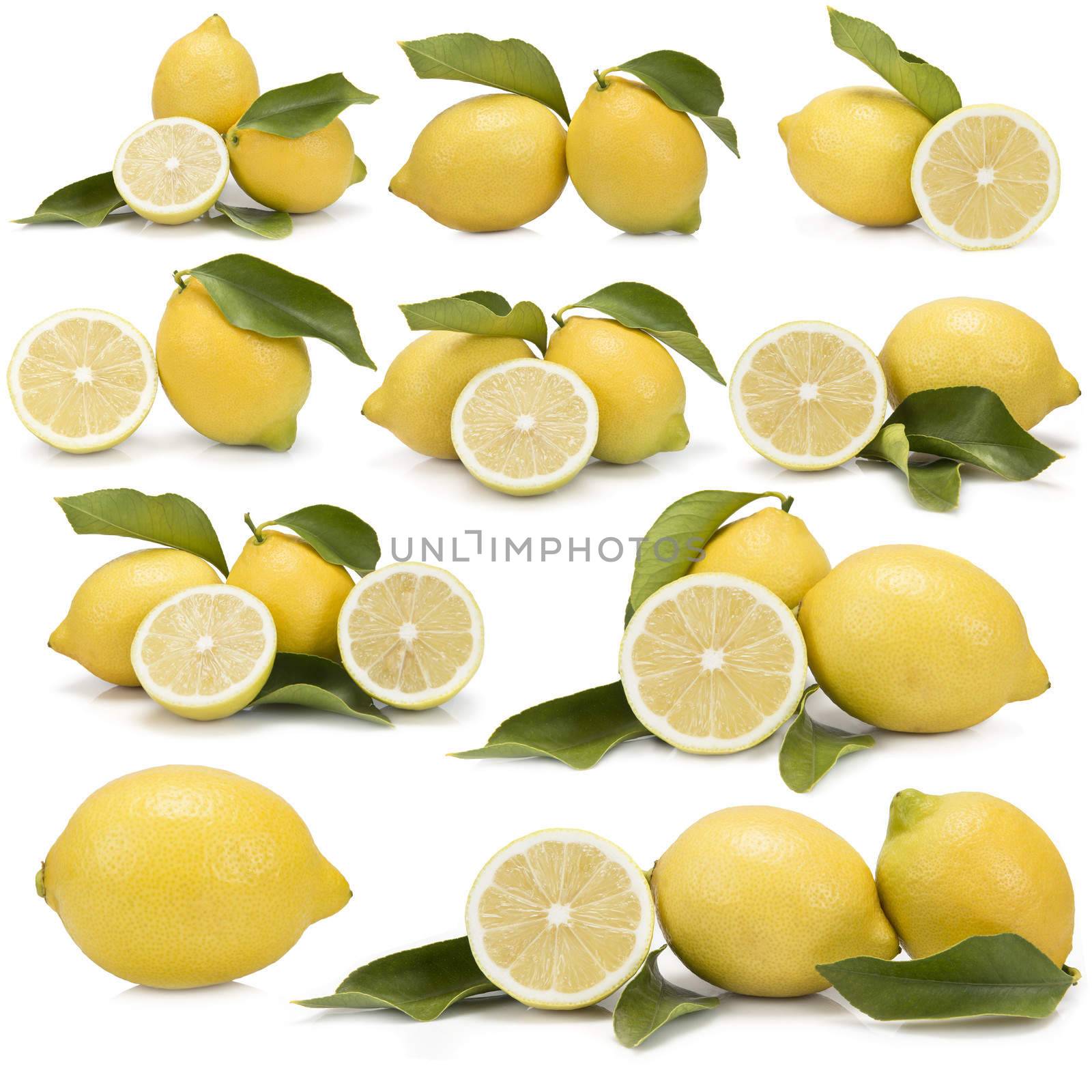 Great set of photographs of lemons with leaves isolated over a white background