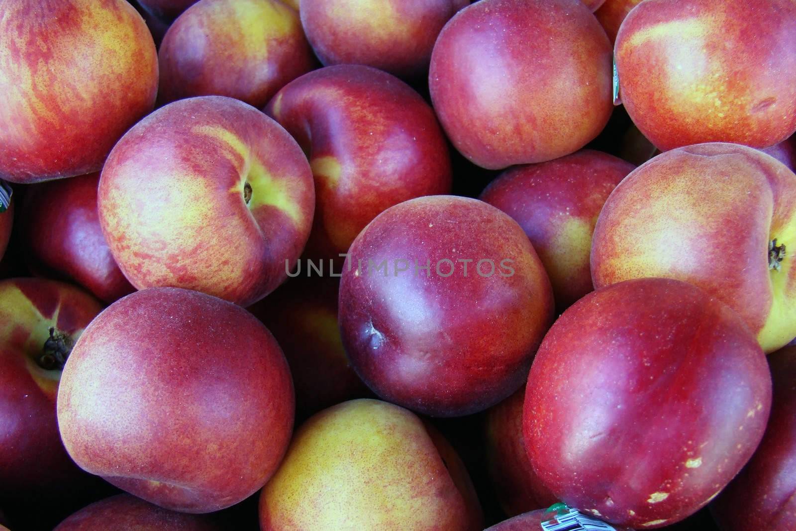 nectarines by hicster