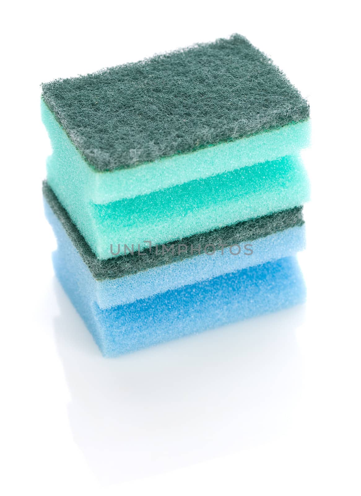two bright sponges