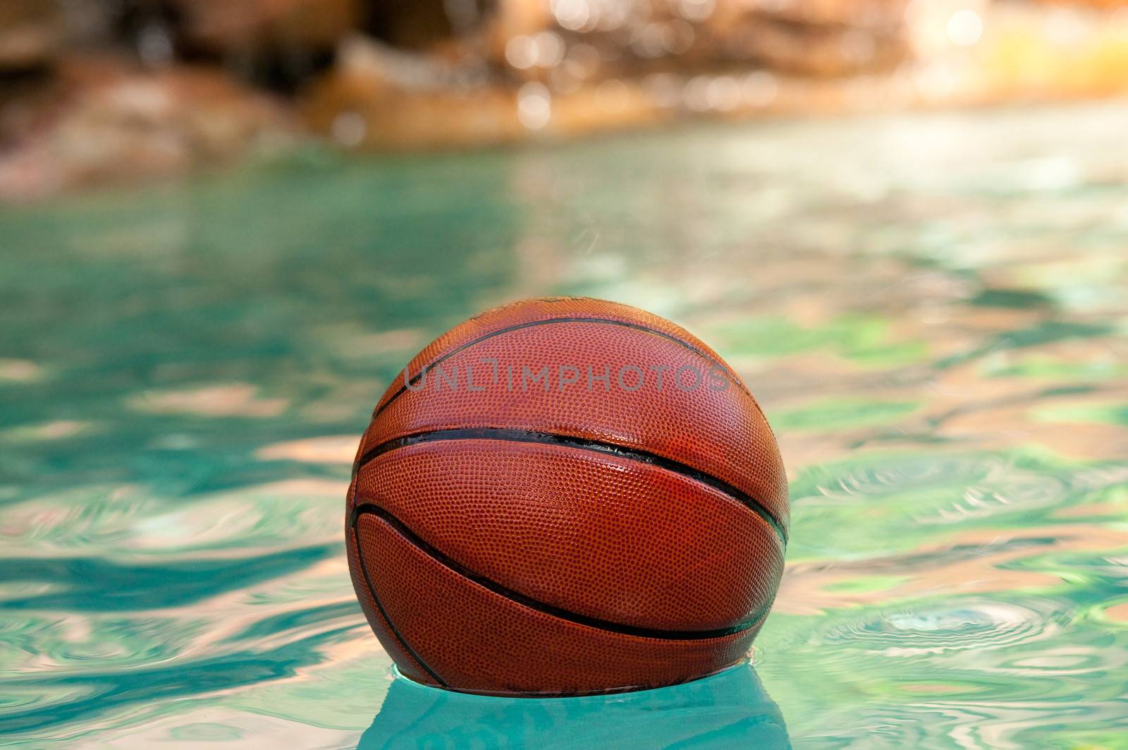 Basketball floating in swimming pool water.