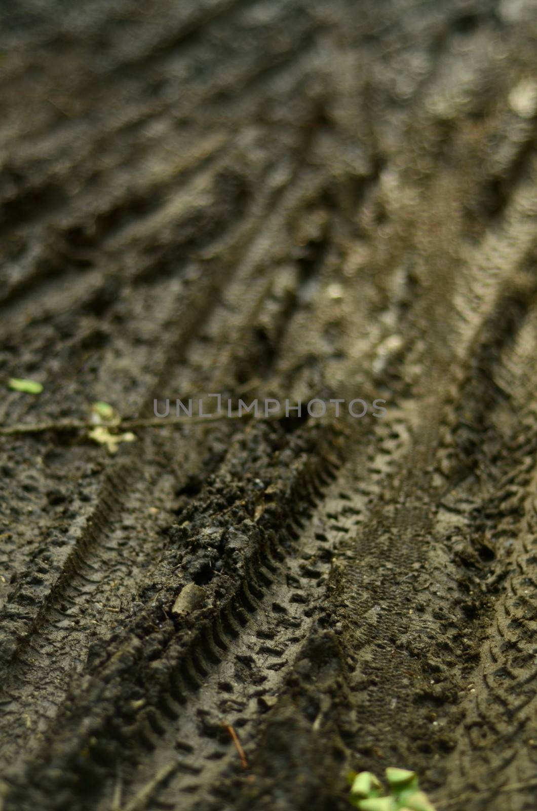 Background Of Mountain Bike Tracks In The Mud With Shallow Depth Of Field