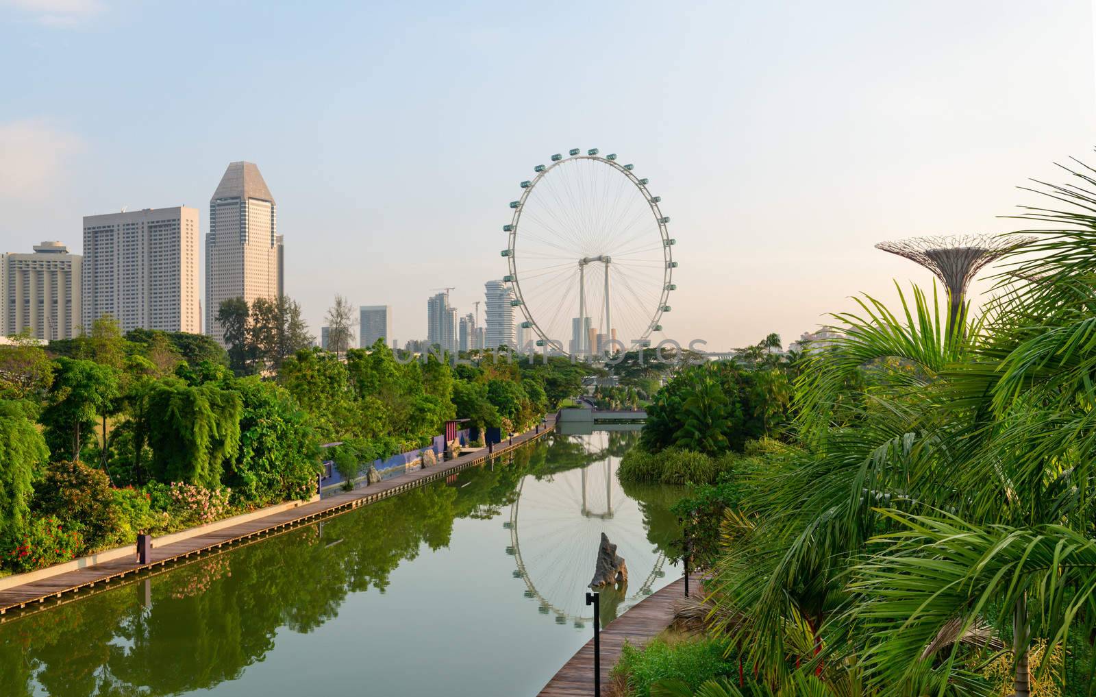 Singapore skyline view from tropical park at Gardens by the Bay with Singapore Flyer on background