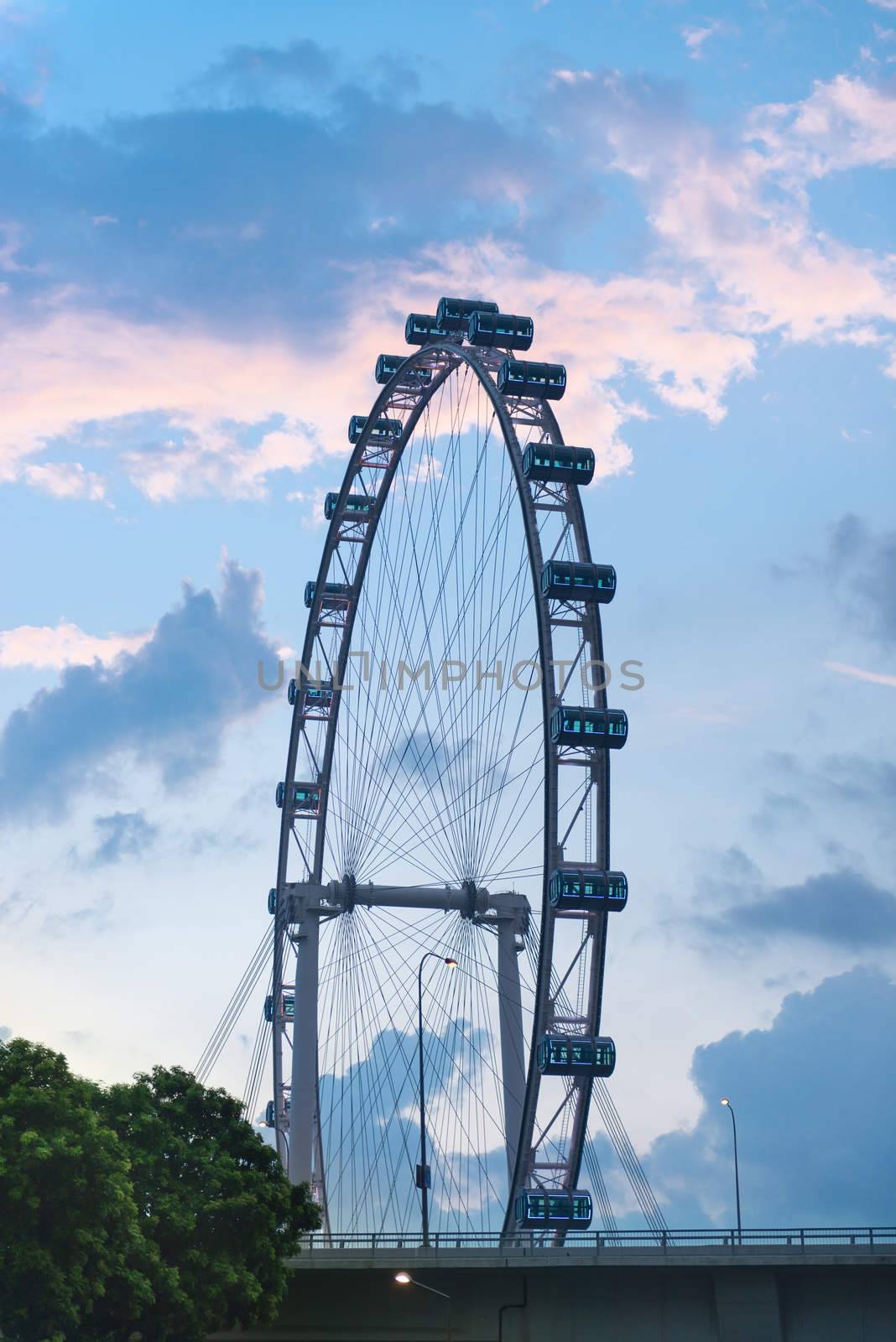 Ferris wheel - Singapore Flyer by iryna_rasko