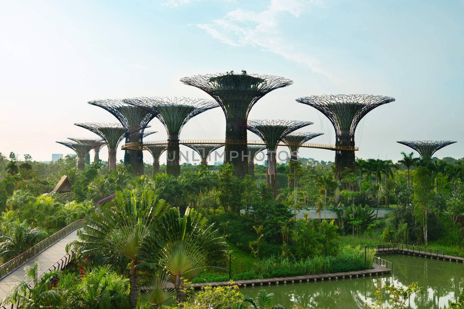 Gardens by the Bay Singapore with supertrees by iryna_rasko