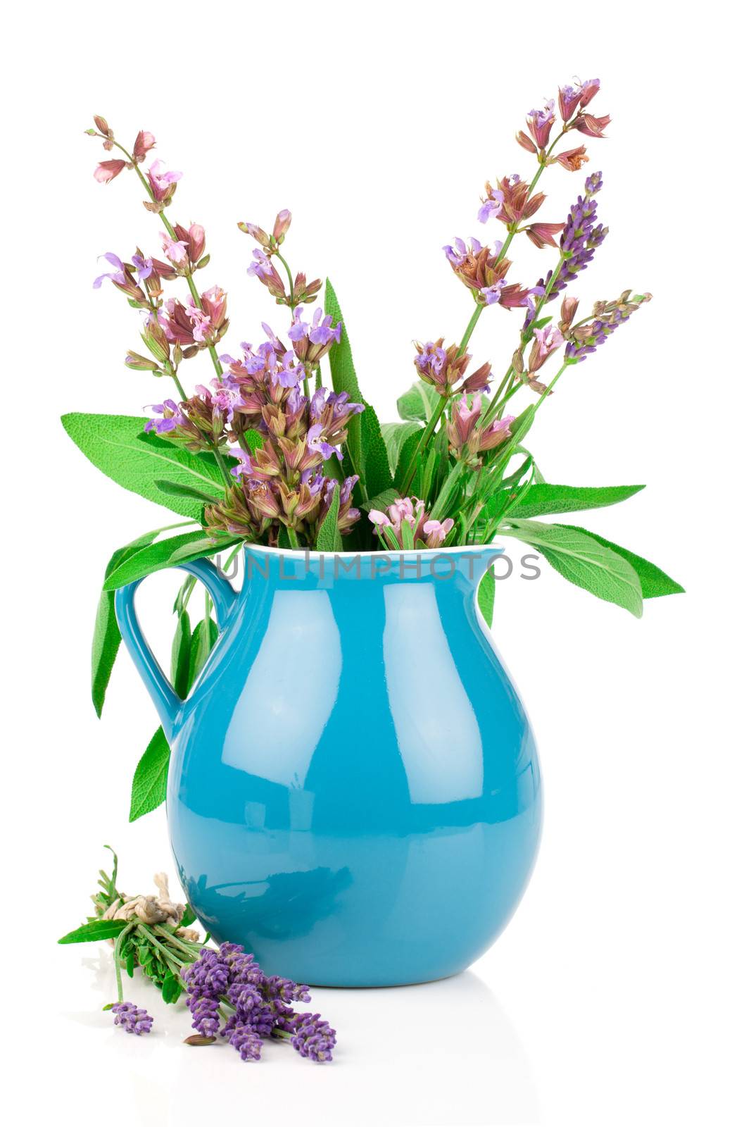 sage flowers in a jug, a white background