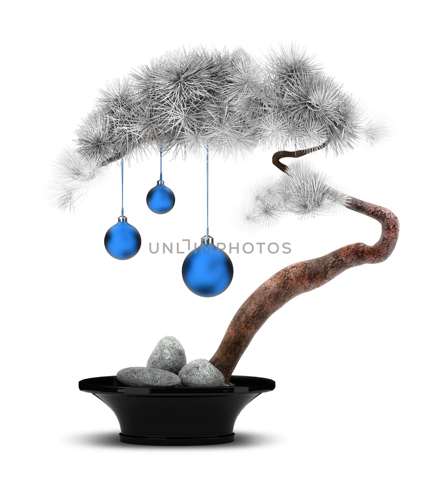 The Chinese new year. Decorative pine in hoarfrost with blue spheres. Bonsai.