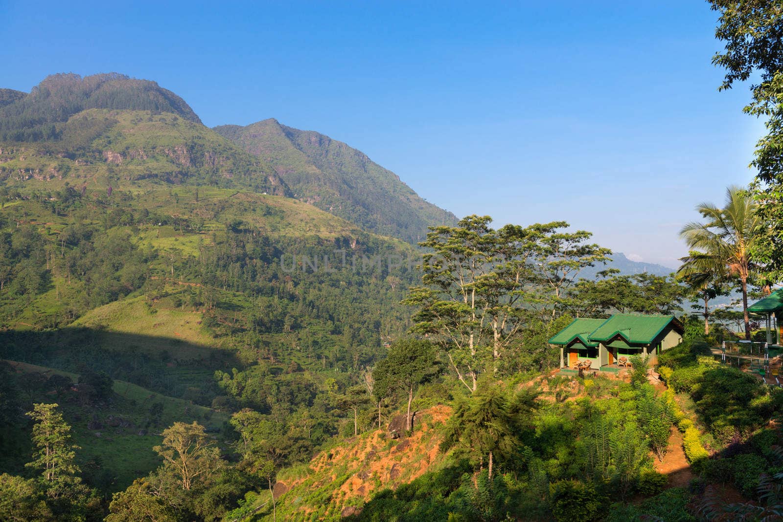 Small house on a green hill at mountains, Nuwara Eliya, Sri Lanka. 