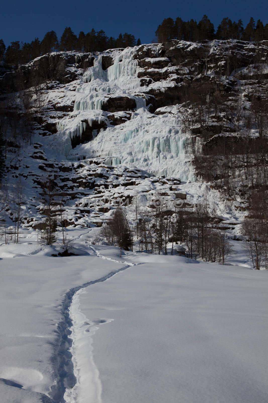 The pictures are from the western part of Norway, where the narrow fjords and mountain scenery make wild overwhelming.