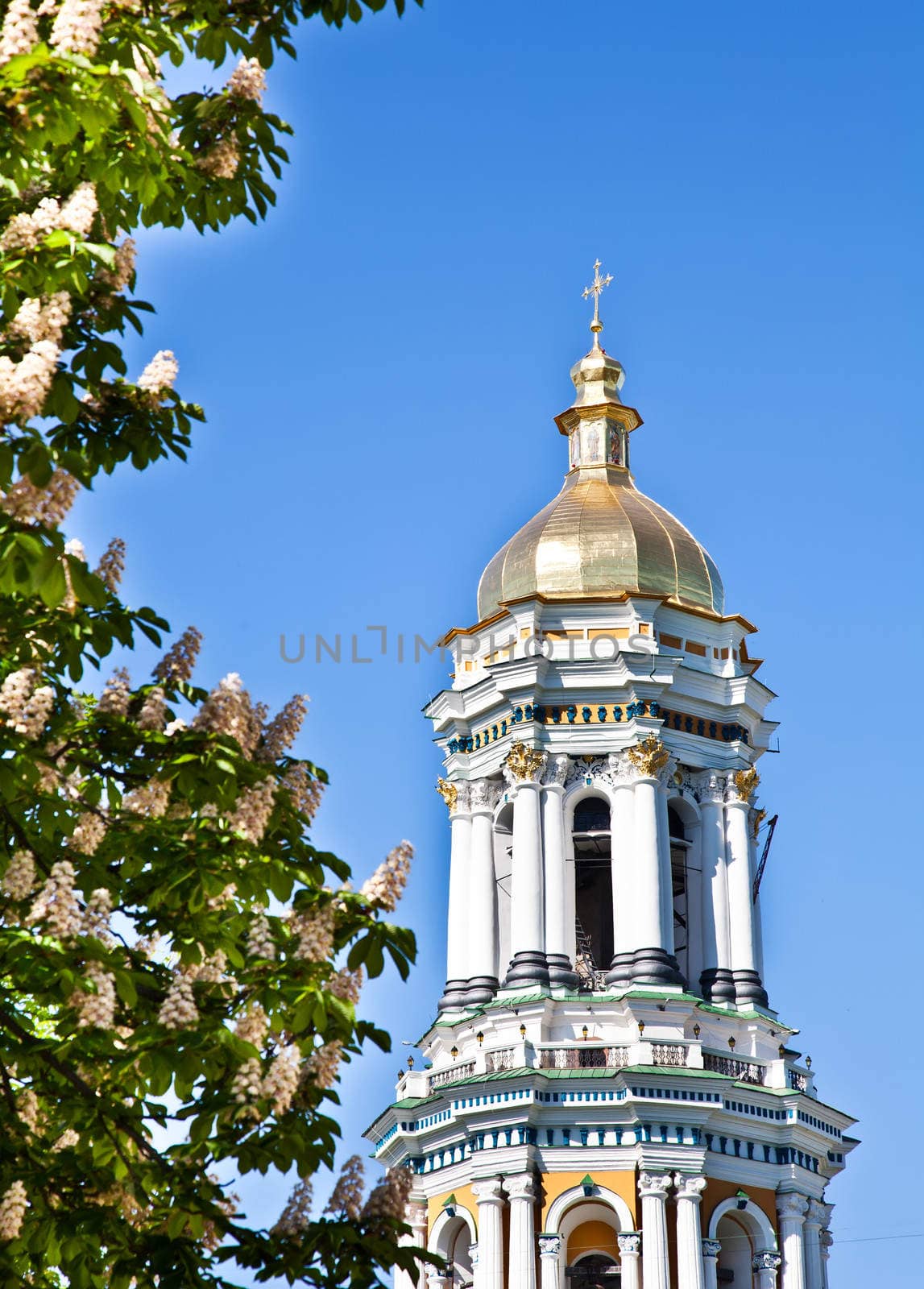 Kiev Pechersk Lavra monastery in Kiev and chesnut blossom