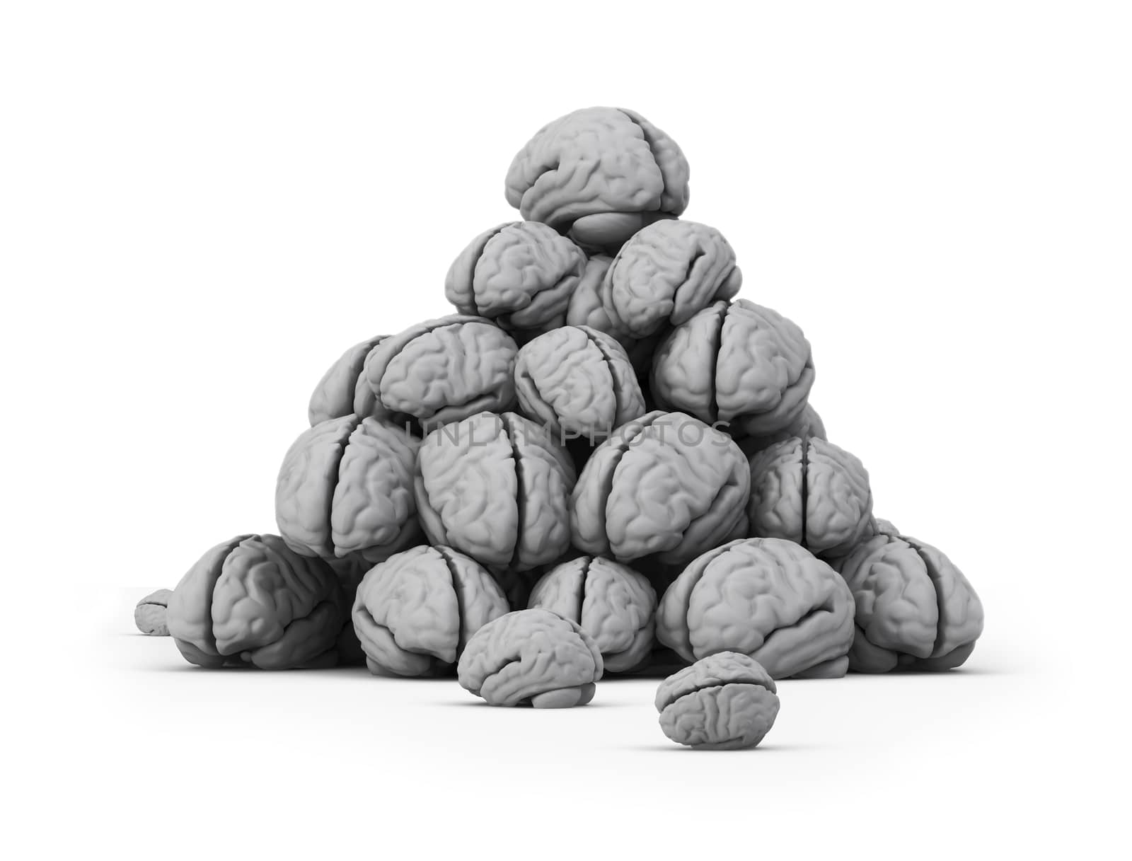 The big dump of brains on the isolated white background