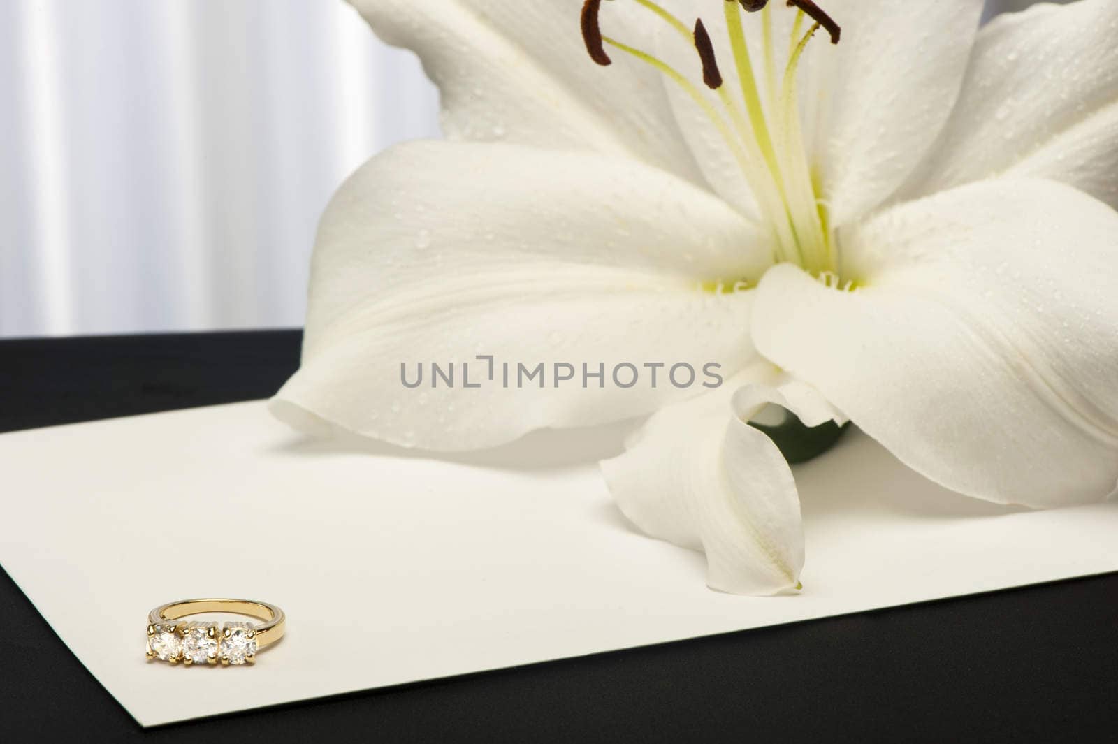 a  Lilium and wedding rings on white background