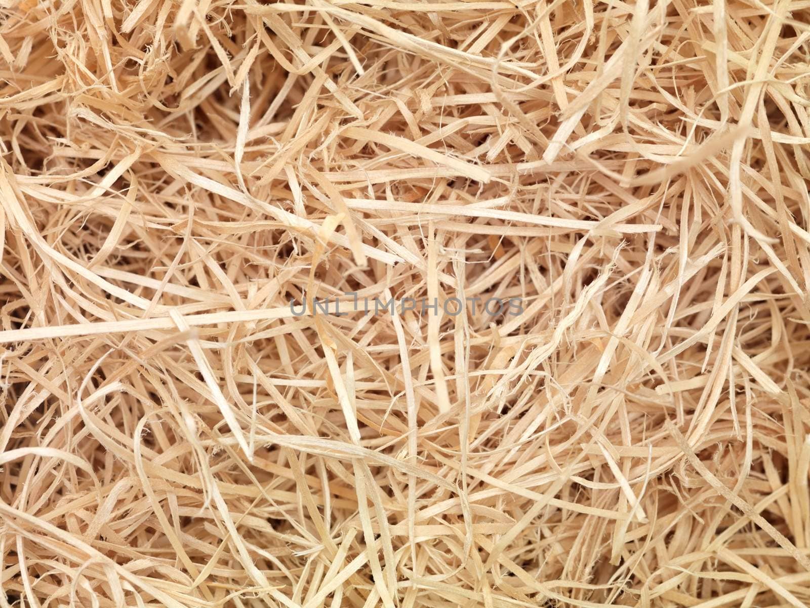 A close up shot of barn straw