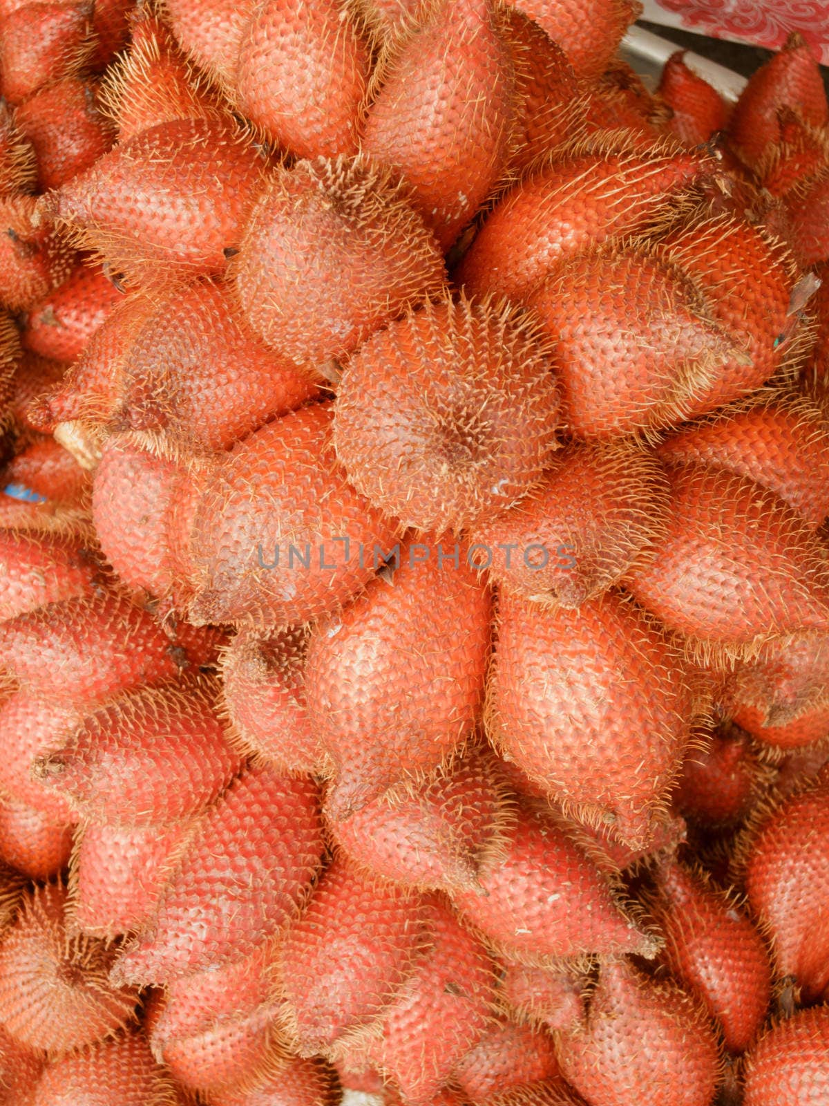 Salak, tropical sweet Thai fruit in thai local market by ngungfoto