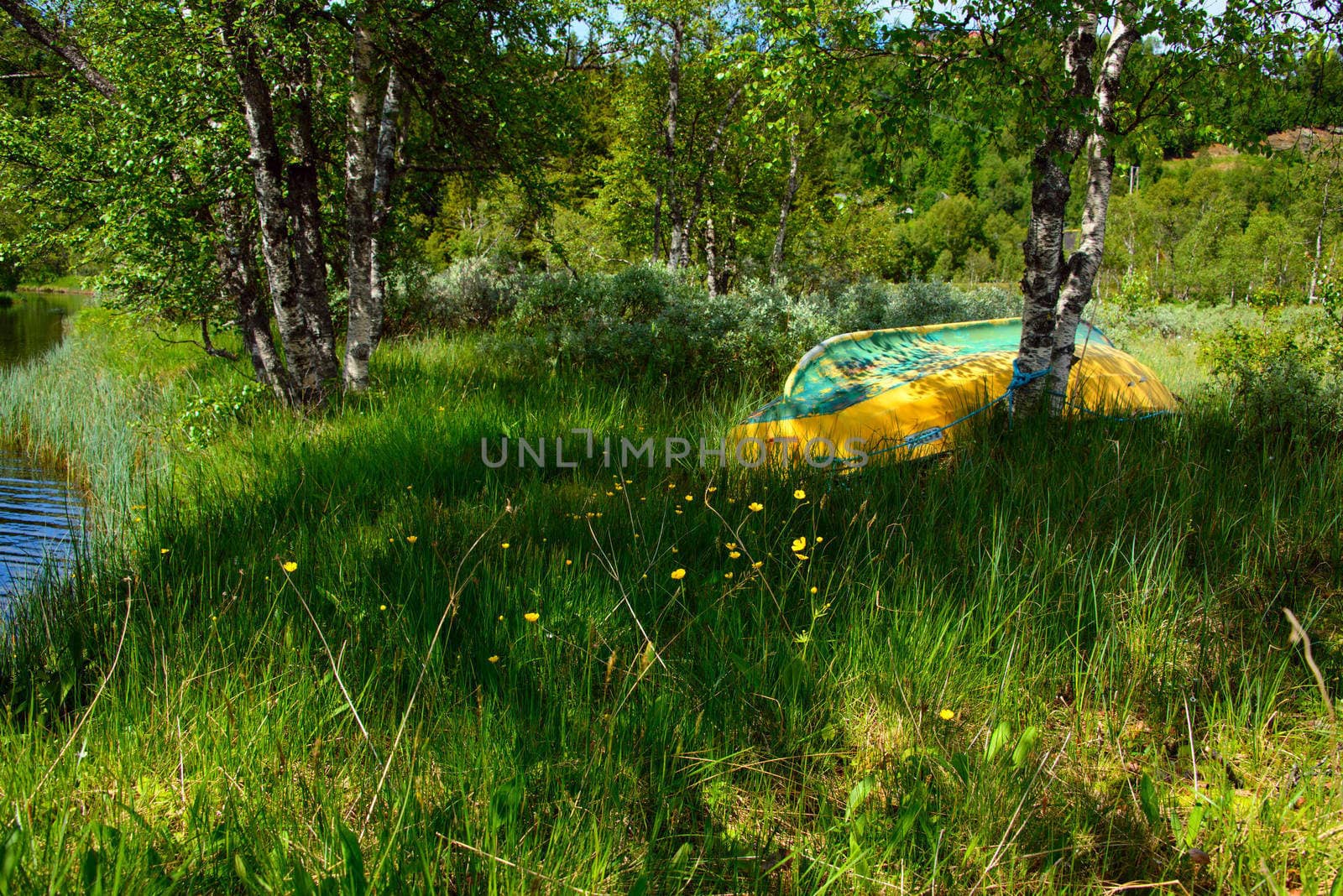 An old rowboat turned upside down under som trees by the river