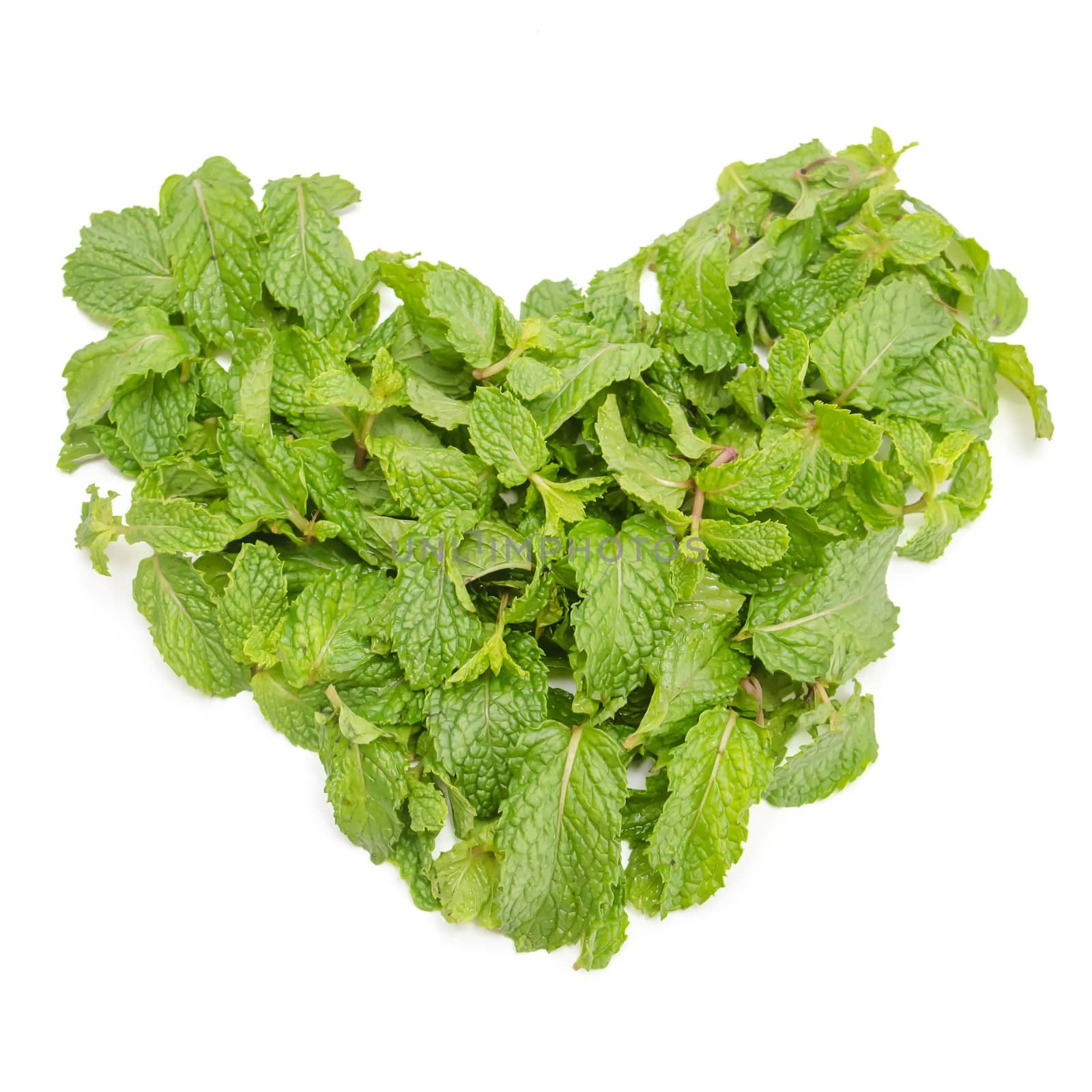 hart from three fresh mint leaves isolated on white background.  by kefiiir