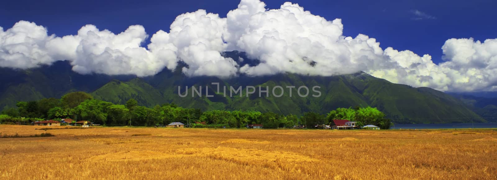 Fields after harvest. Panorama. by GNNick