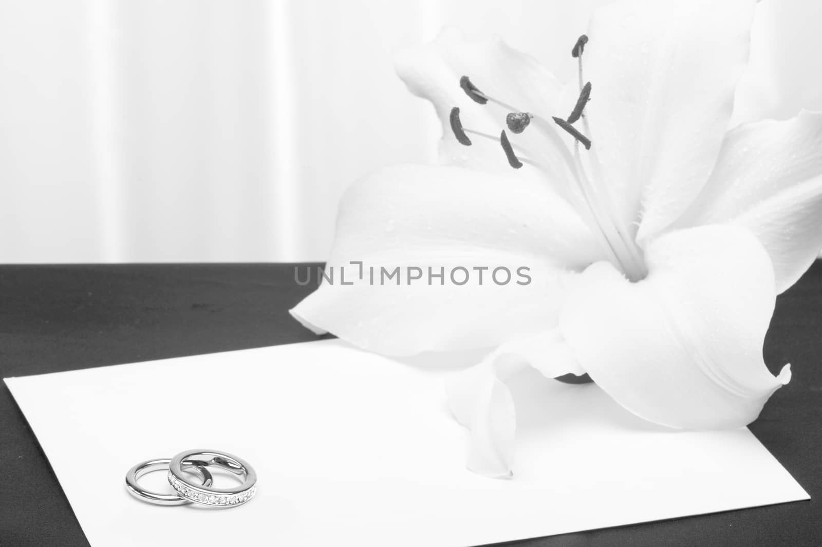 a  flower and wedding rings on white background