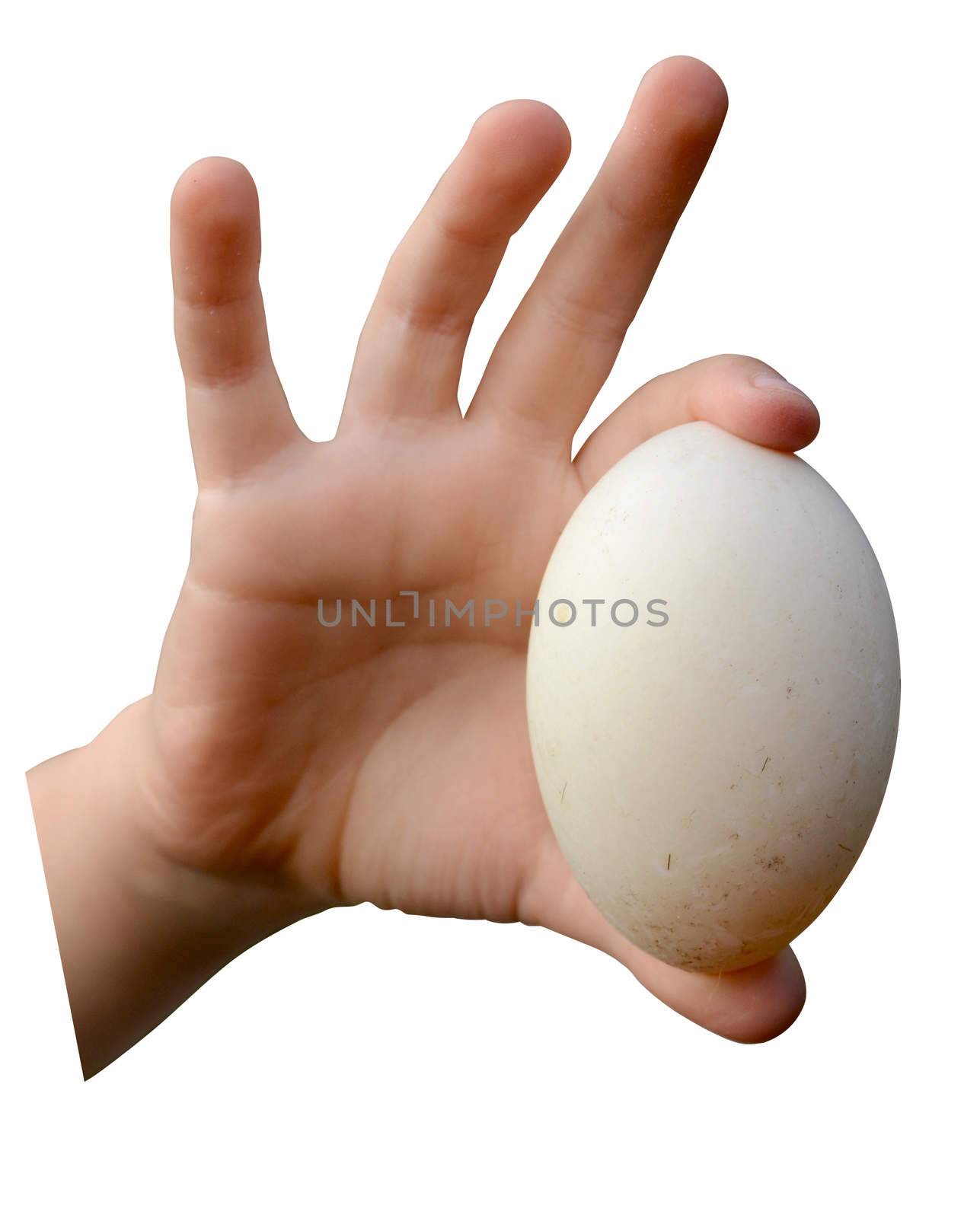 Isolation Of A Child's Hand Holding A Dirty Farm Egg