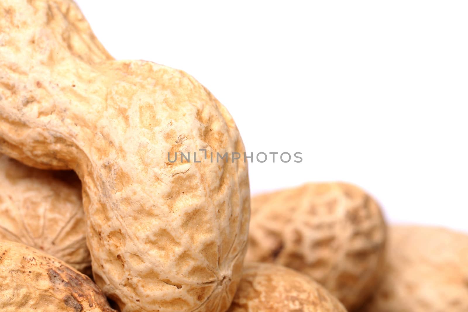 Roasted in-shell peanuts close-up are located left on the white background.