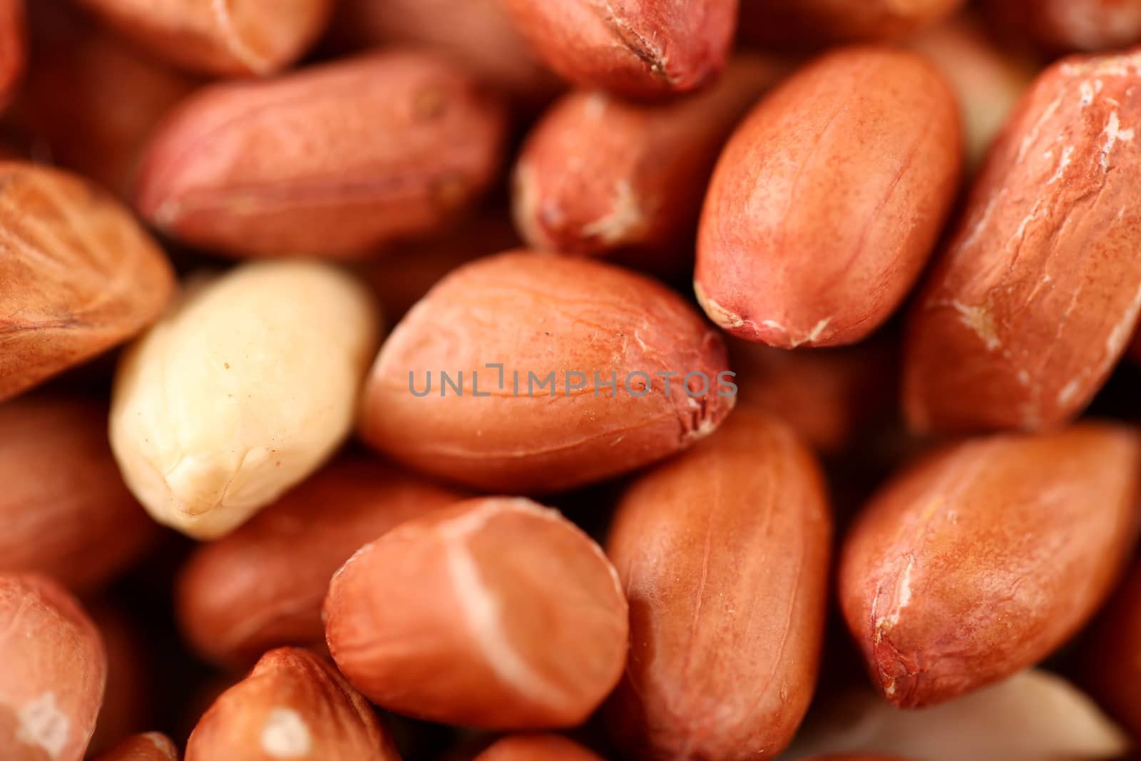Extreme close-up image of peanuts by indigolotos