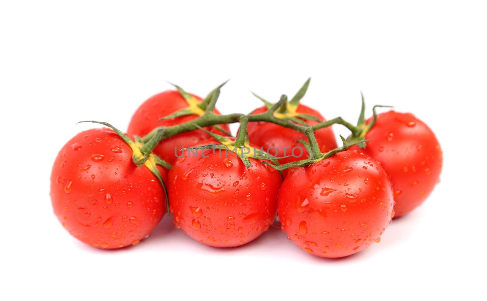 Cluster of Tomatoes are located on the white background