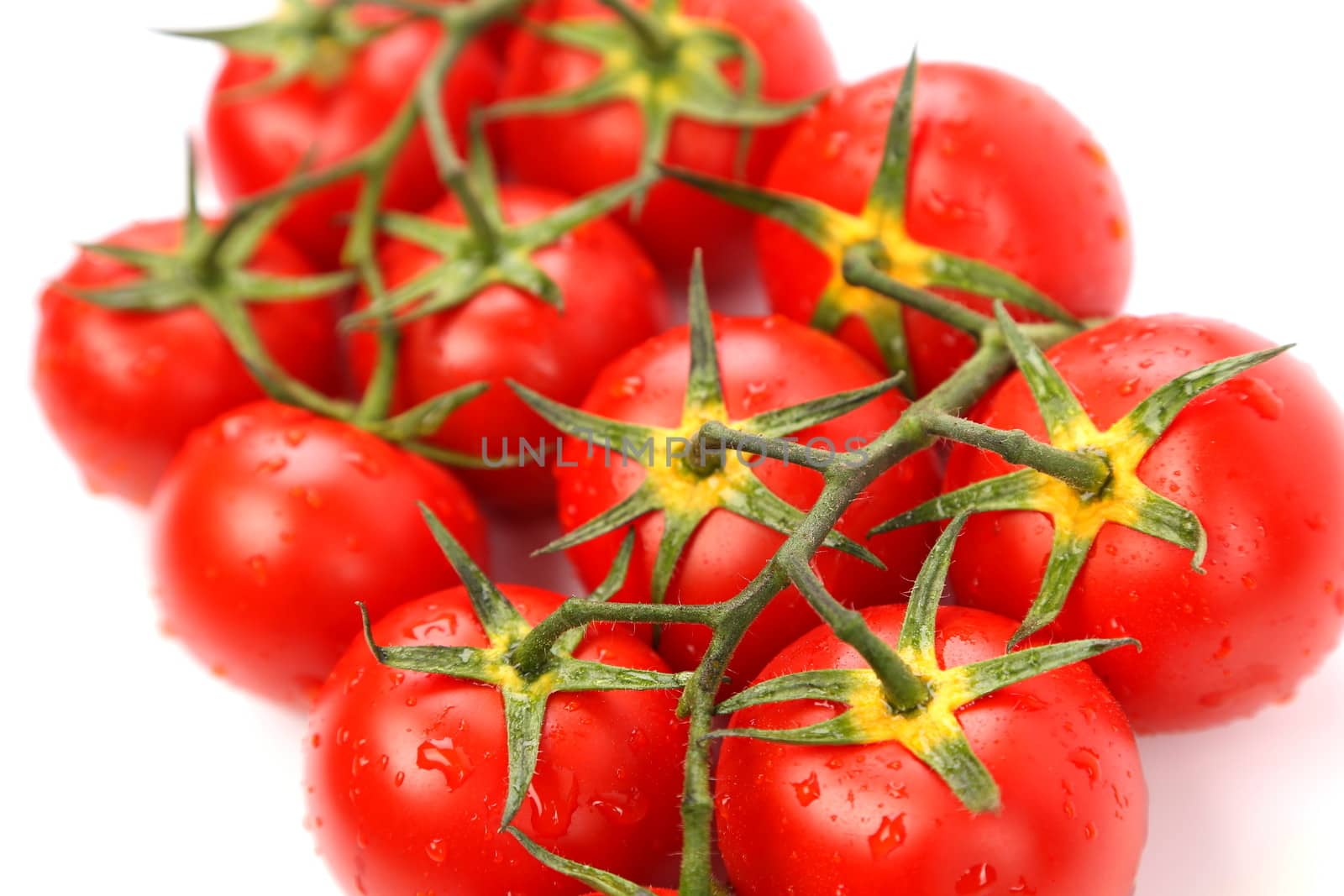 A Big Cluster of Tomatoes is located on whole background