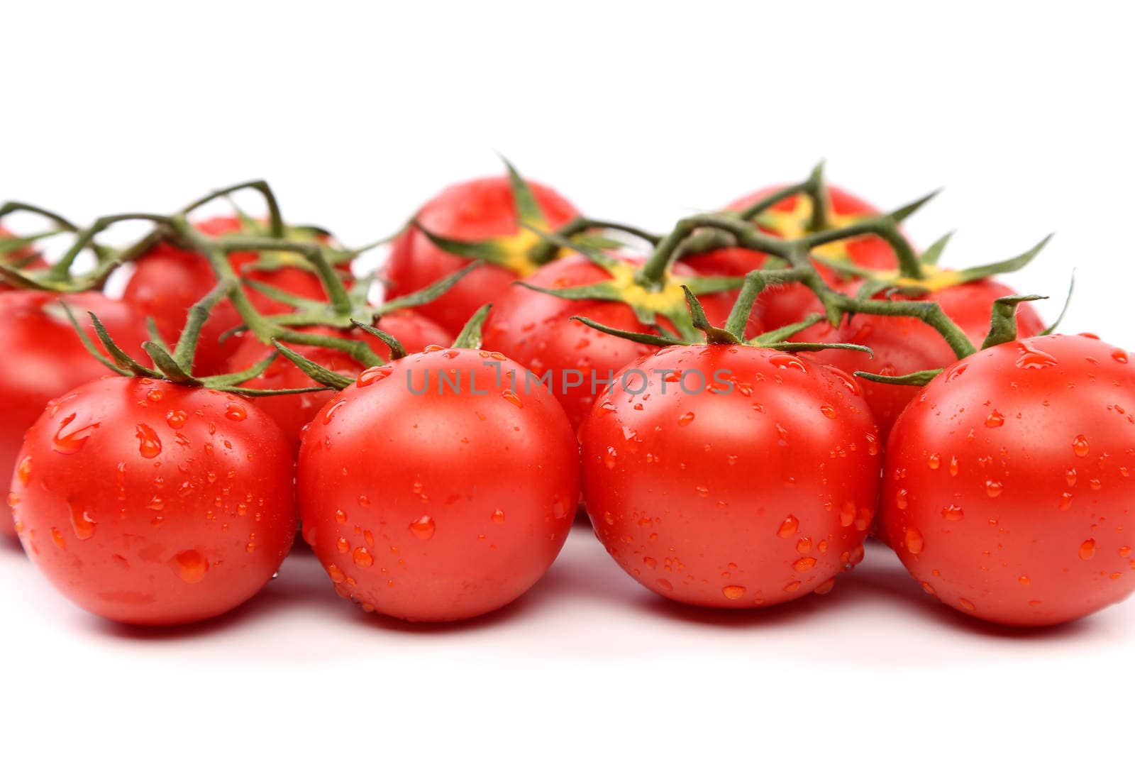 Closeup of tomatoes on the vine isolated on white