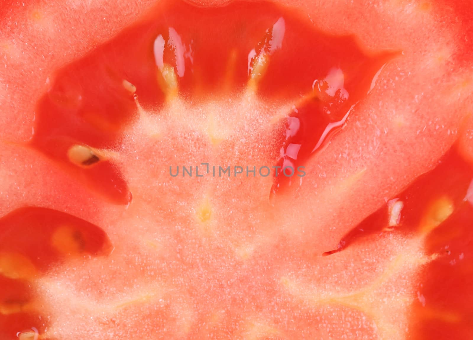 slice of tomato isolated on whole background