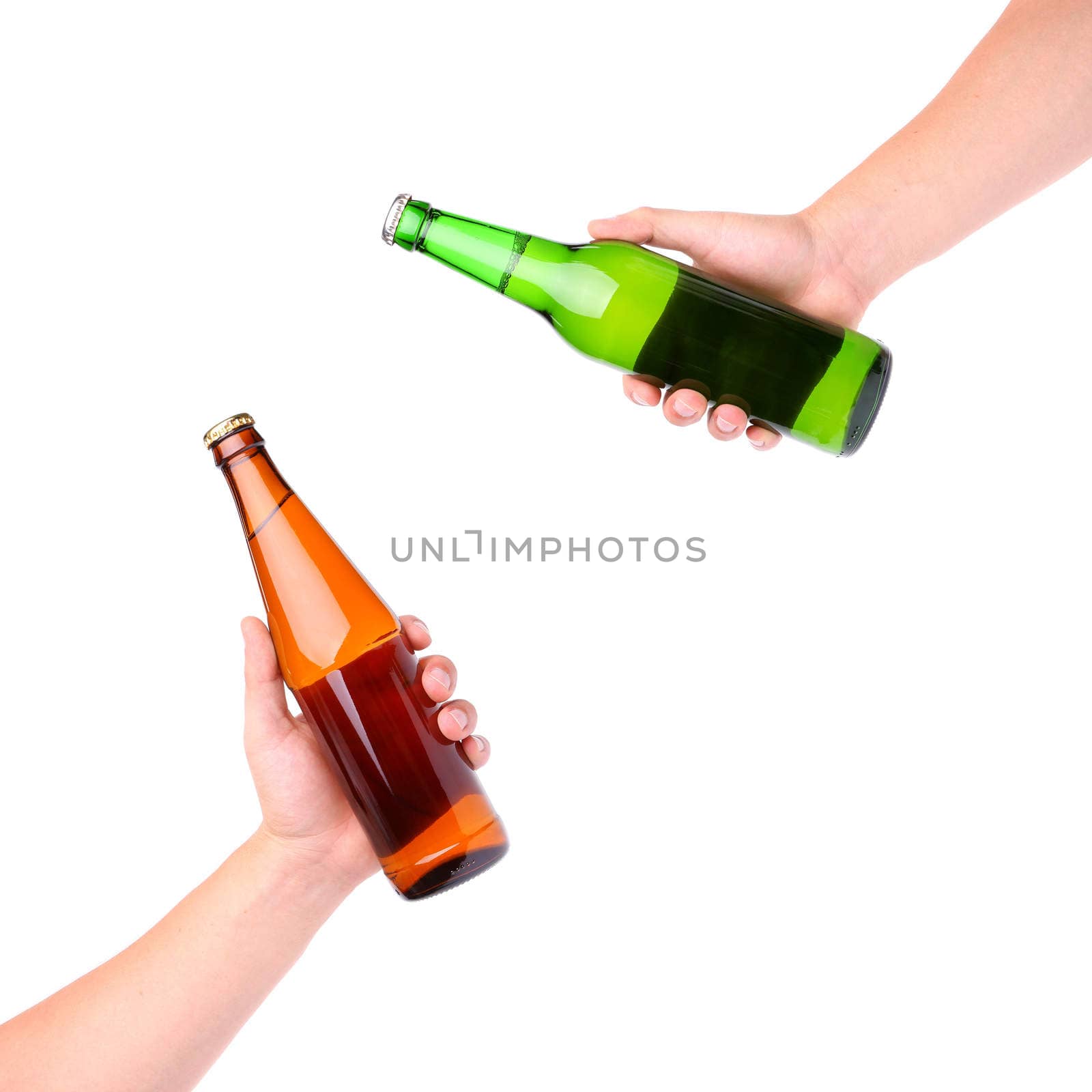 Hands Clinking Glasses Beer on a white background