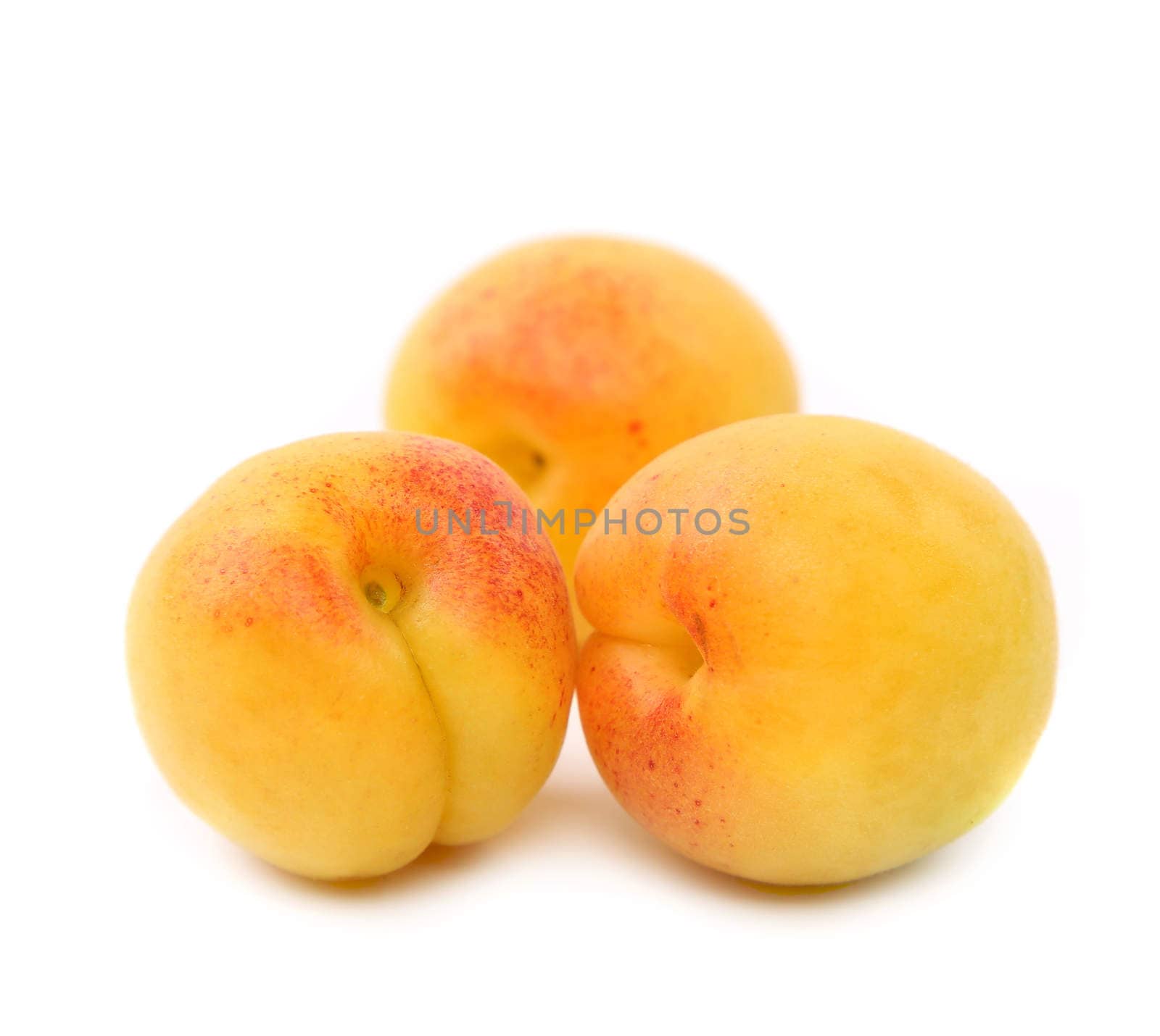 three fresh apricot fruits isolated on white background