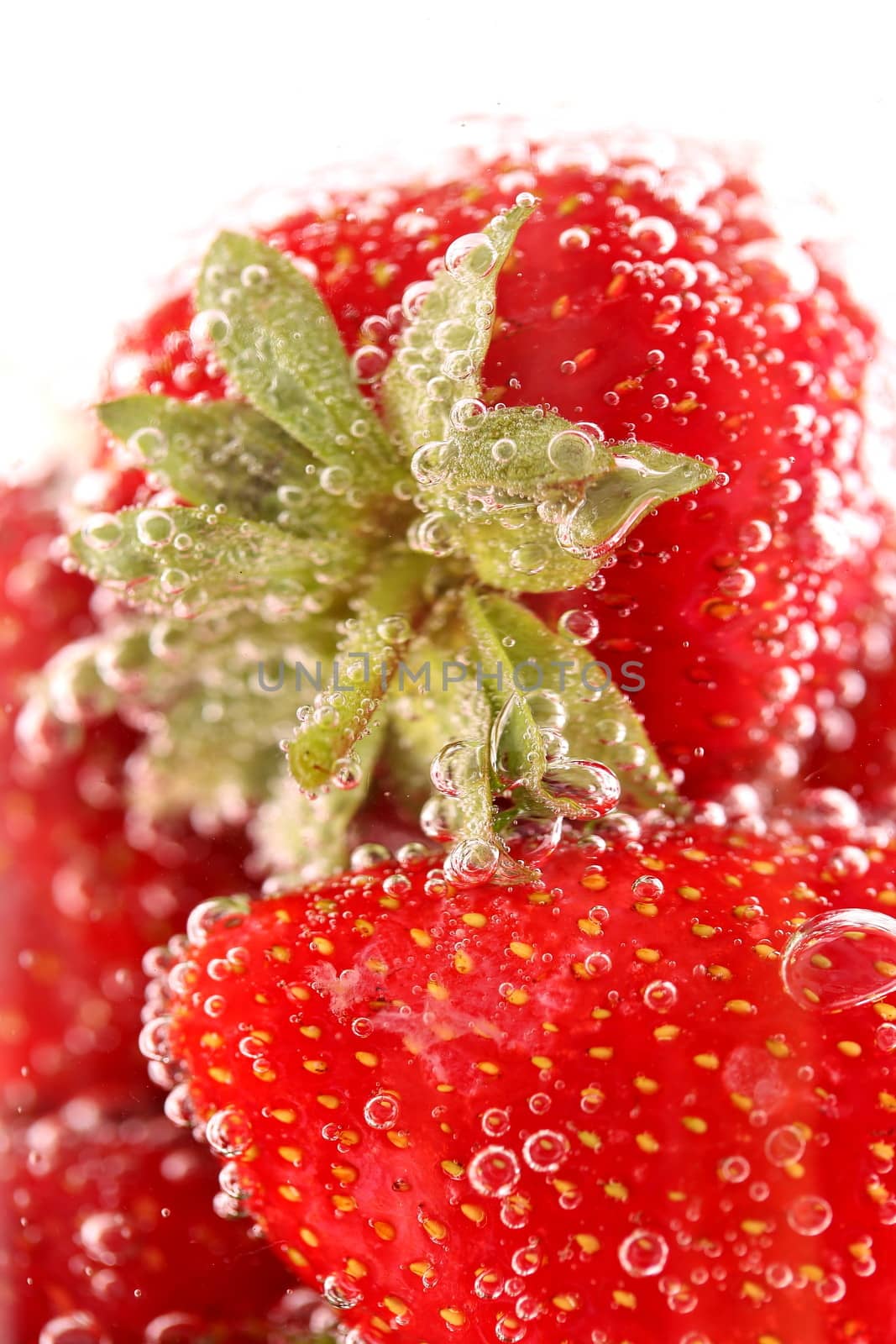 Strawberries and bubbles close-up on whole background