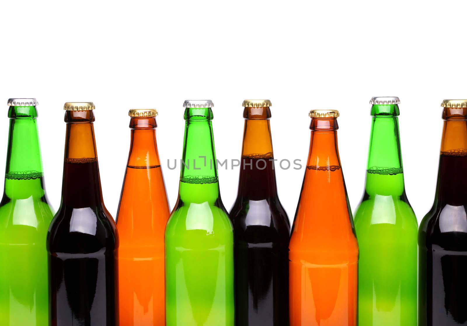 Row from beer bottles. Isolated on white background