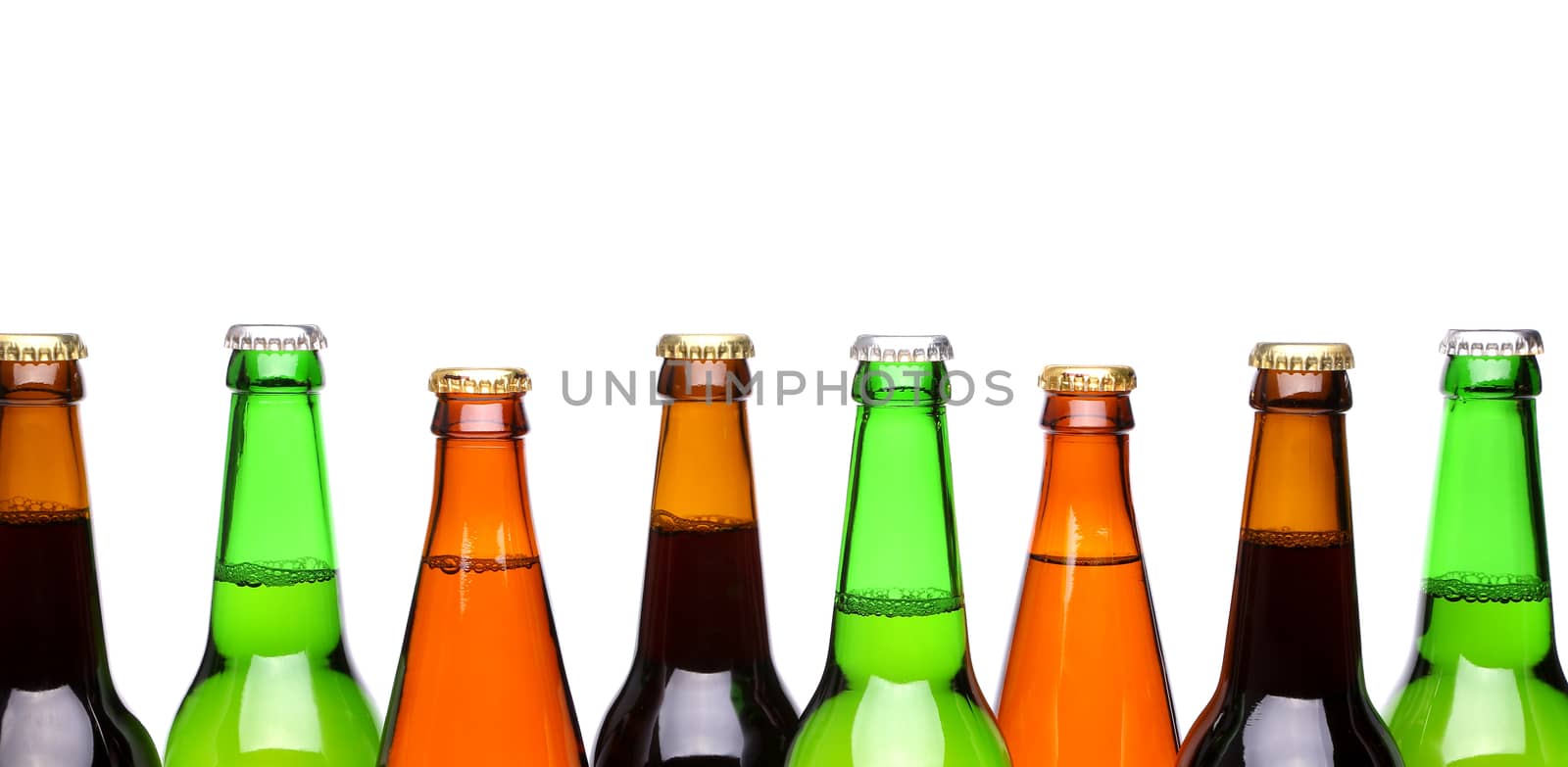 Row from beer bottles. Isolated on white background