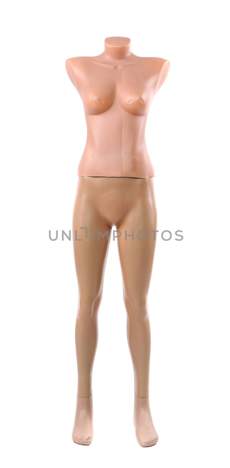 fashion mannequin isolated on a white background
