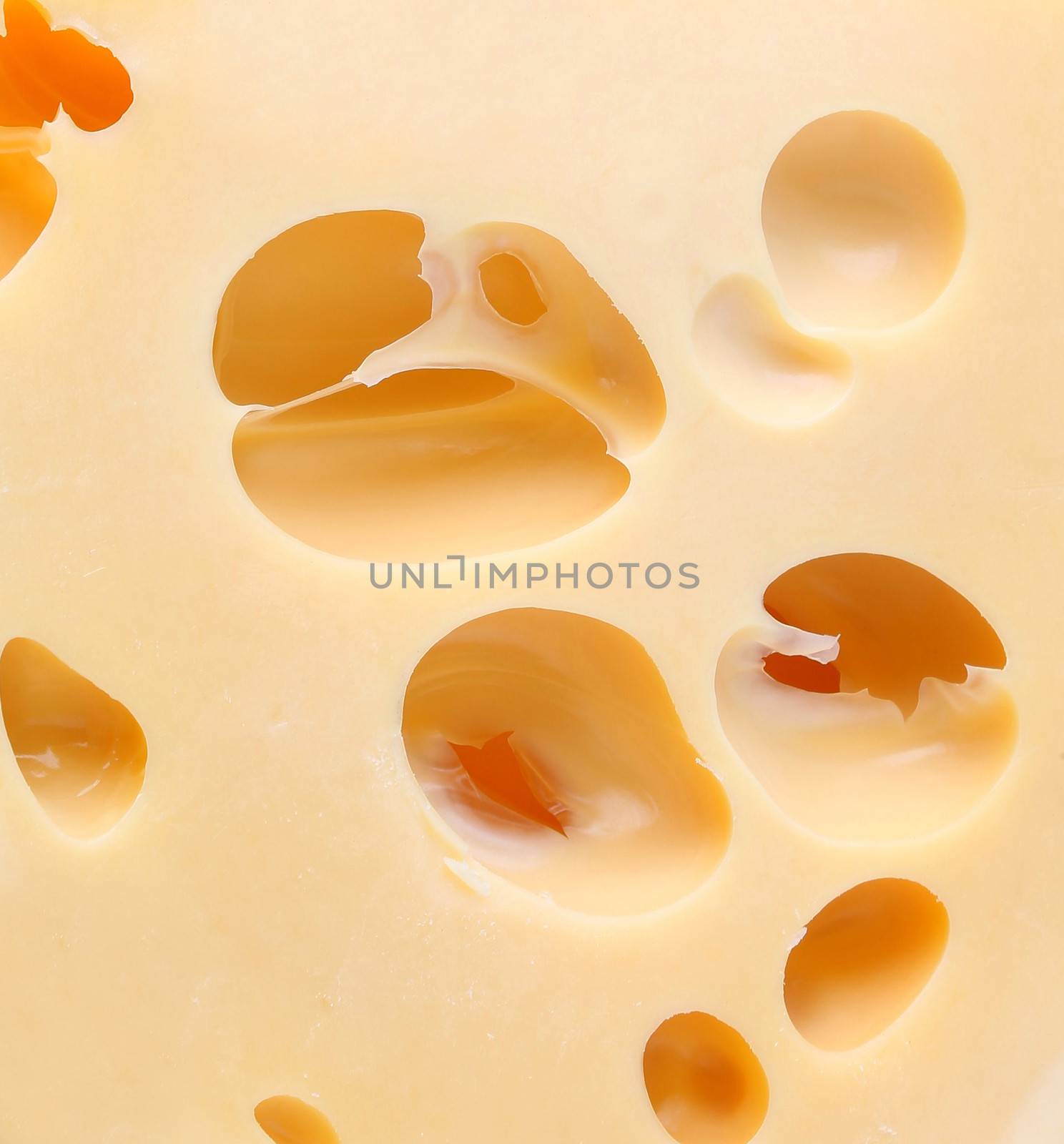 Piece of tasty cheese as background .