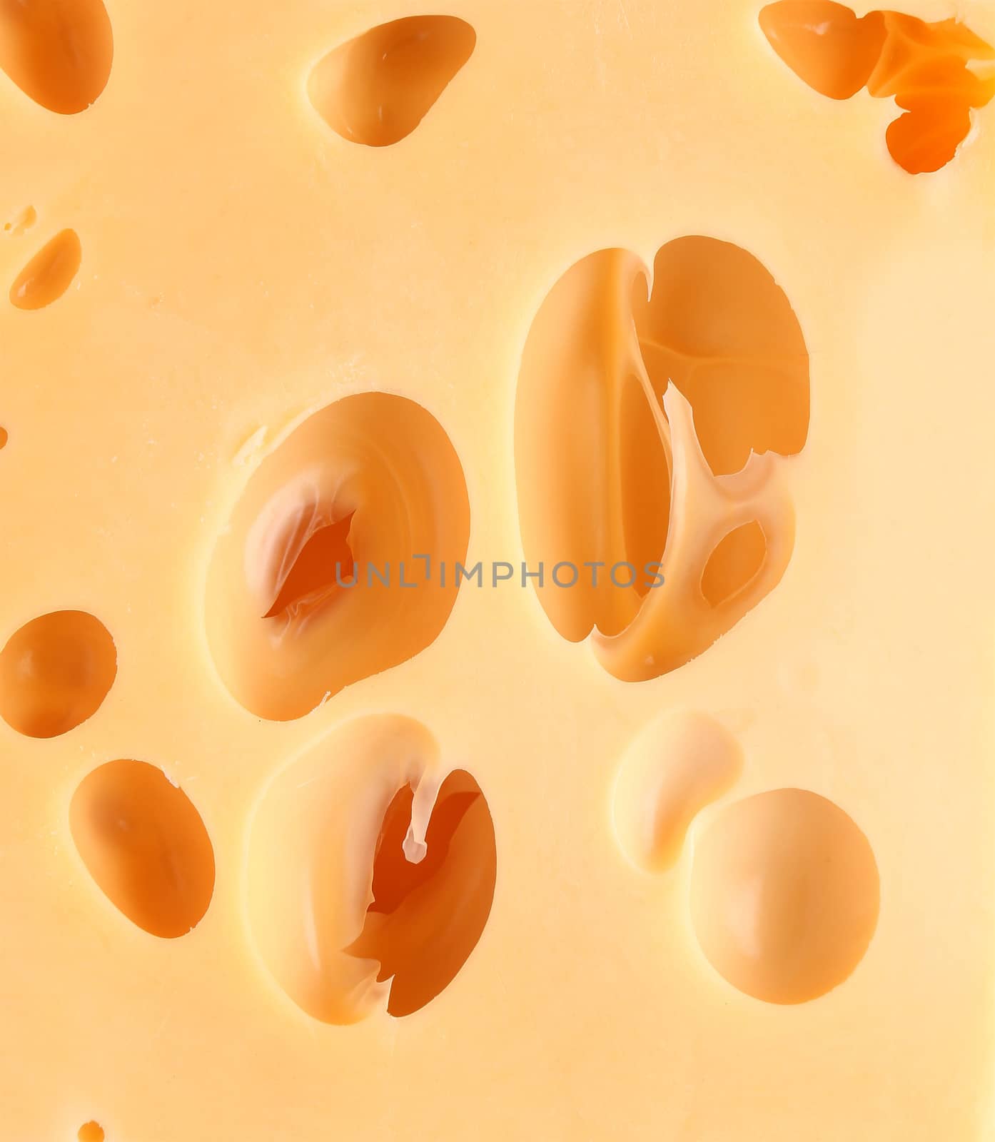 Yellow cheese on a whole background. Texture.