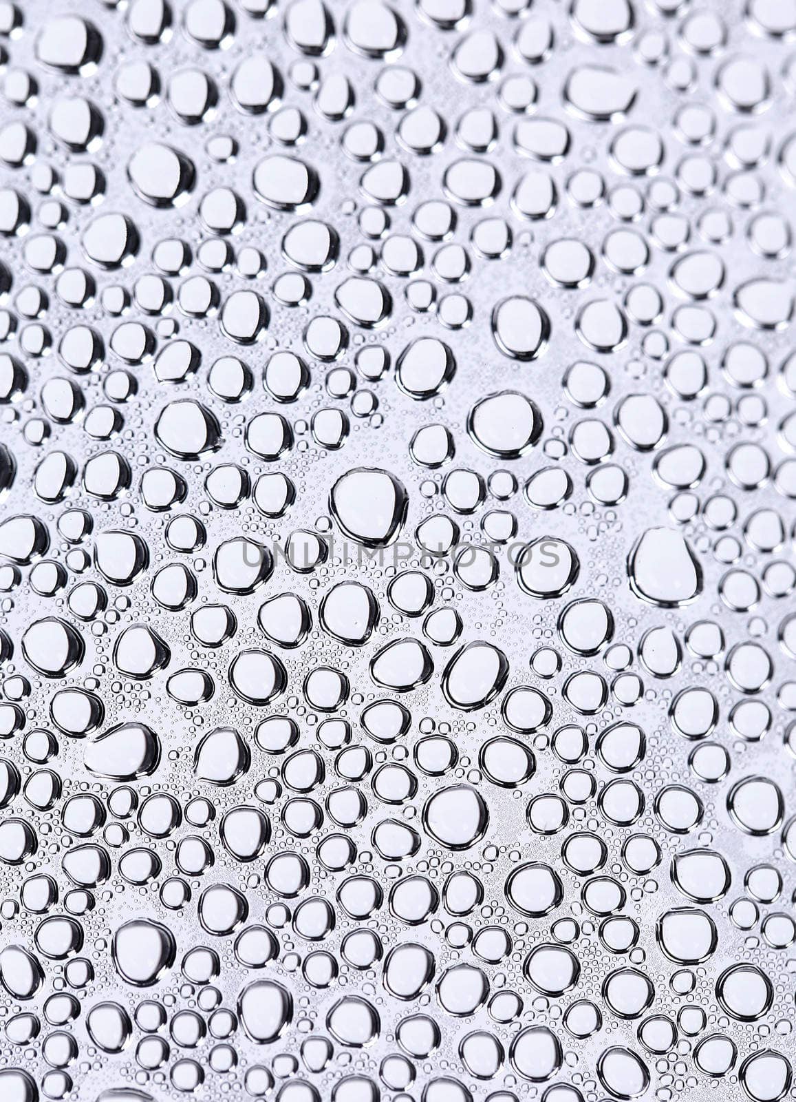 White bubbles on a whole background. Macro.