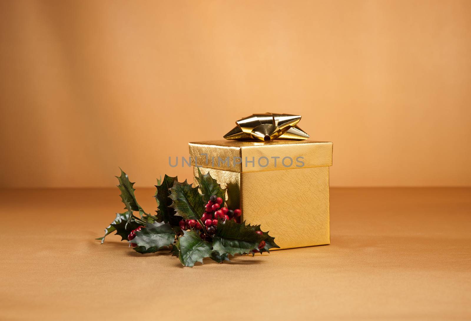 Gold present and holly by 3523Studio